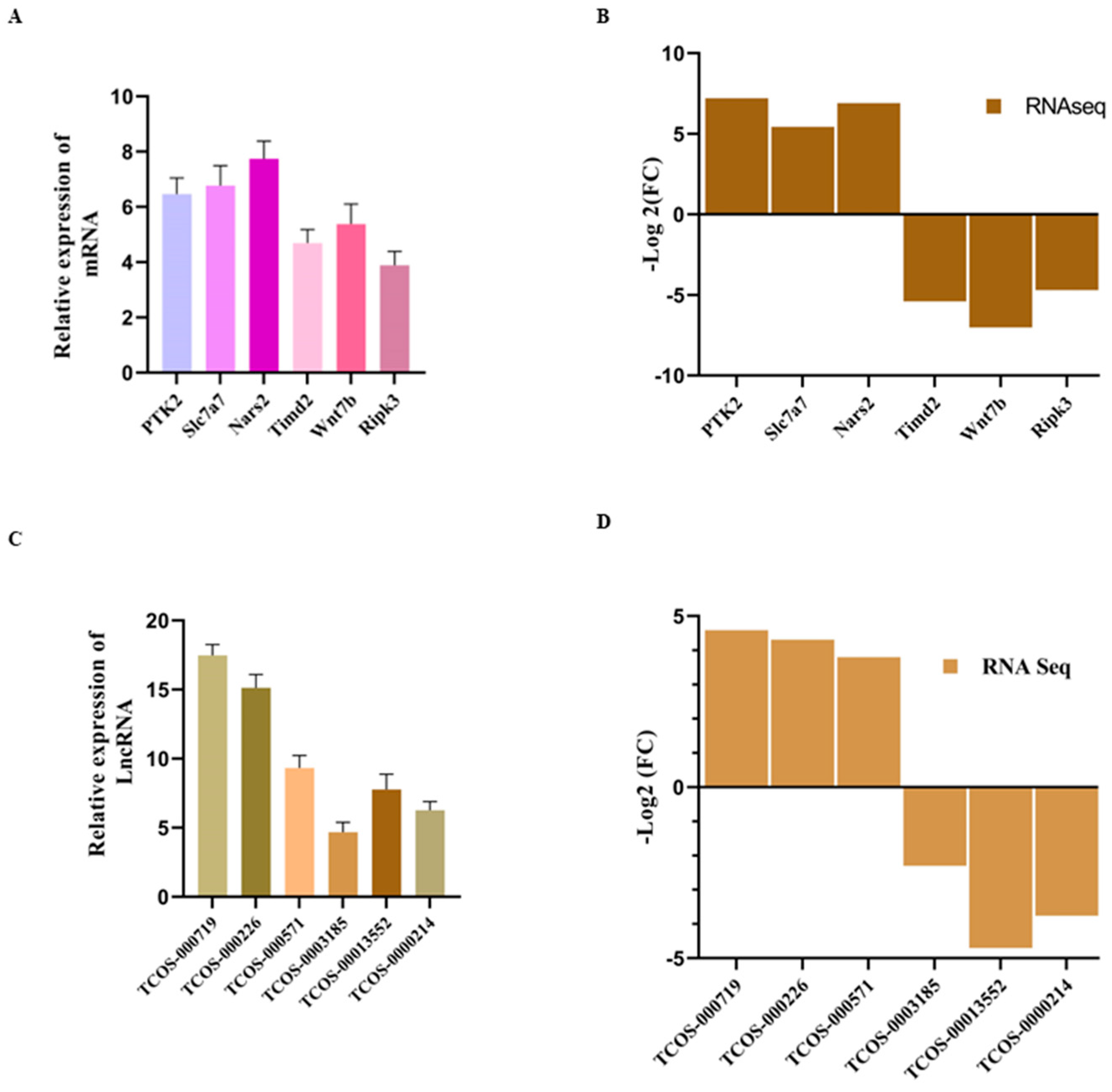 Antioxidants 14 00251 g009