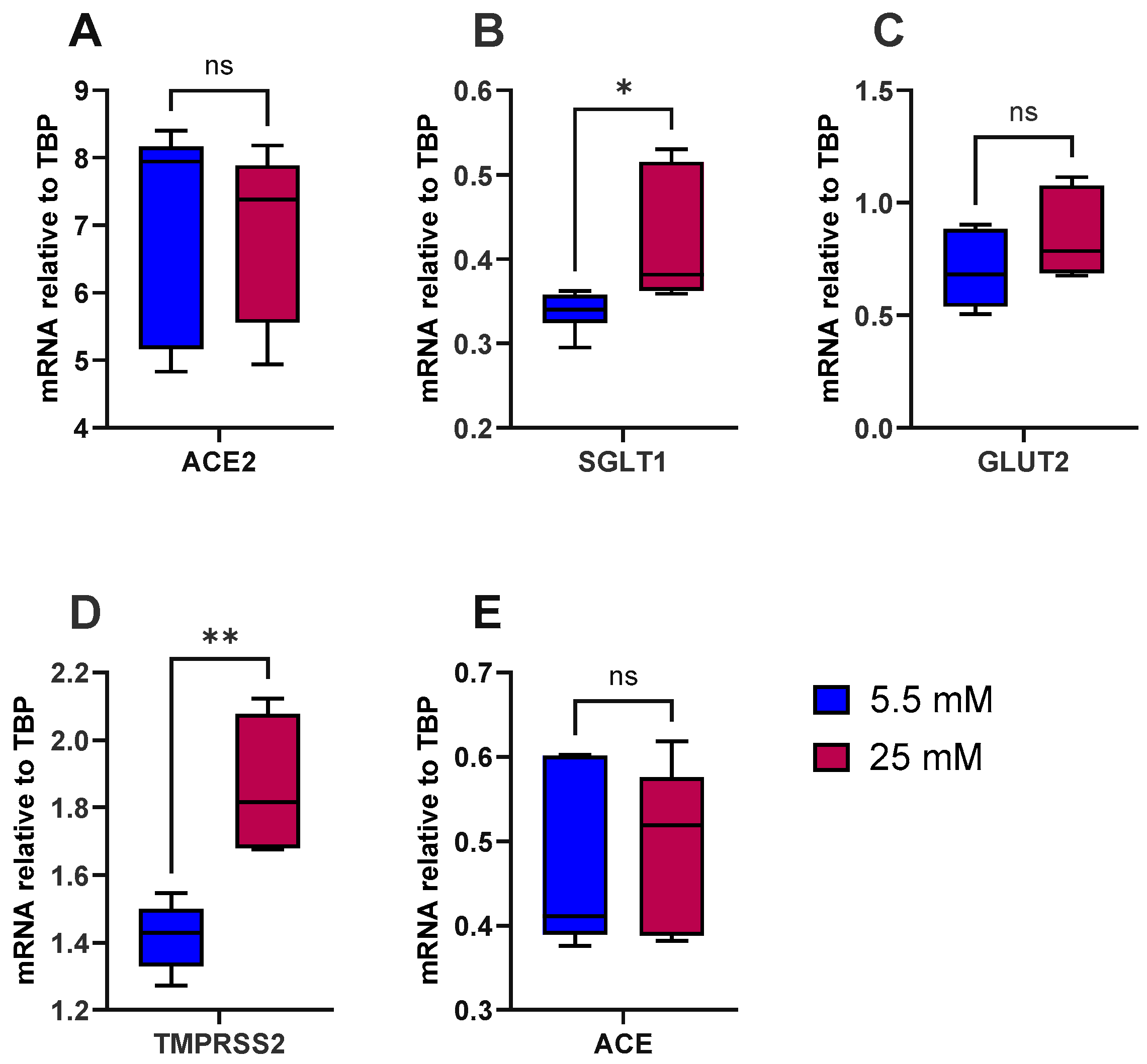 Antioxidants 14 00253 g001 Antioxidants 14 00253 g001