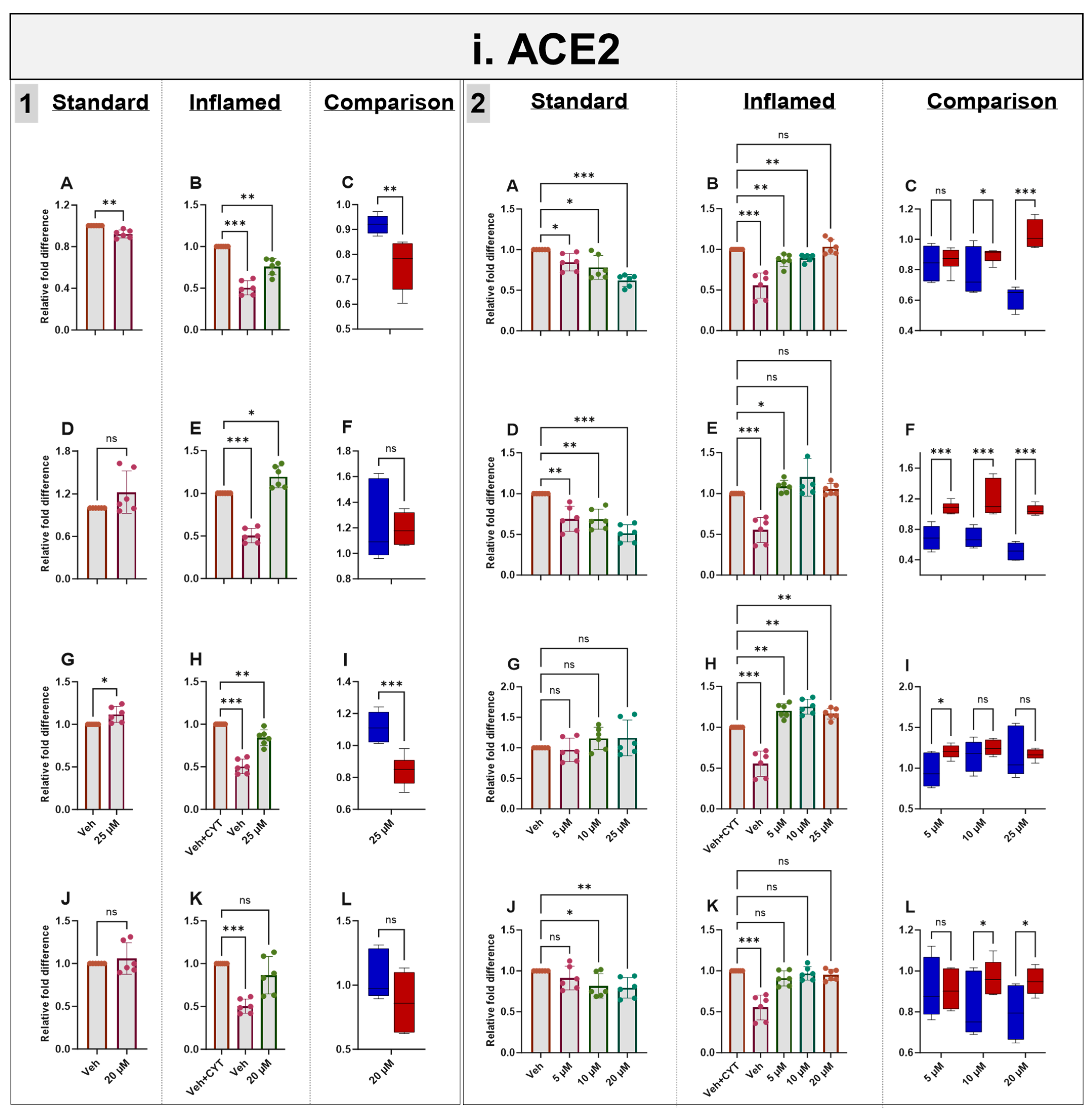 Antioxidants 14 00253 g005a Antioxidants 14 00253 g005a