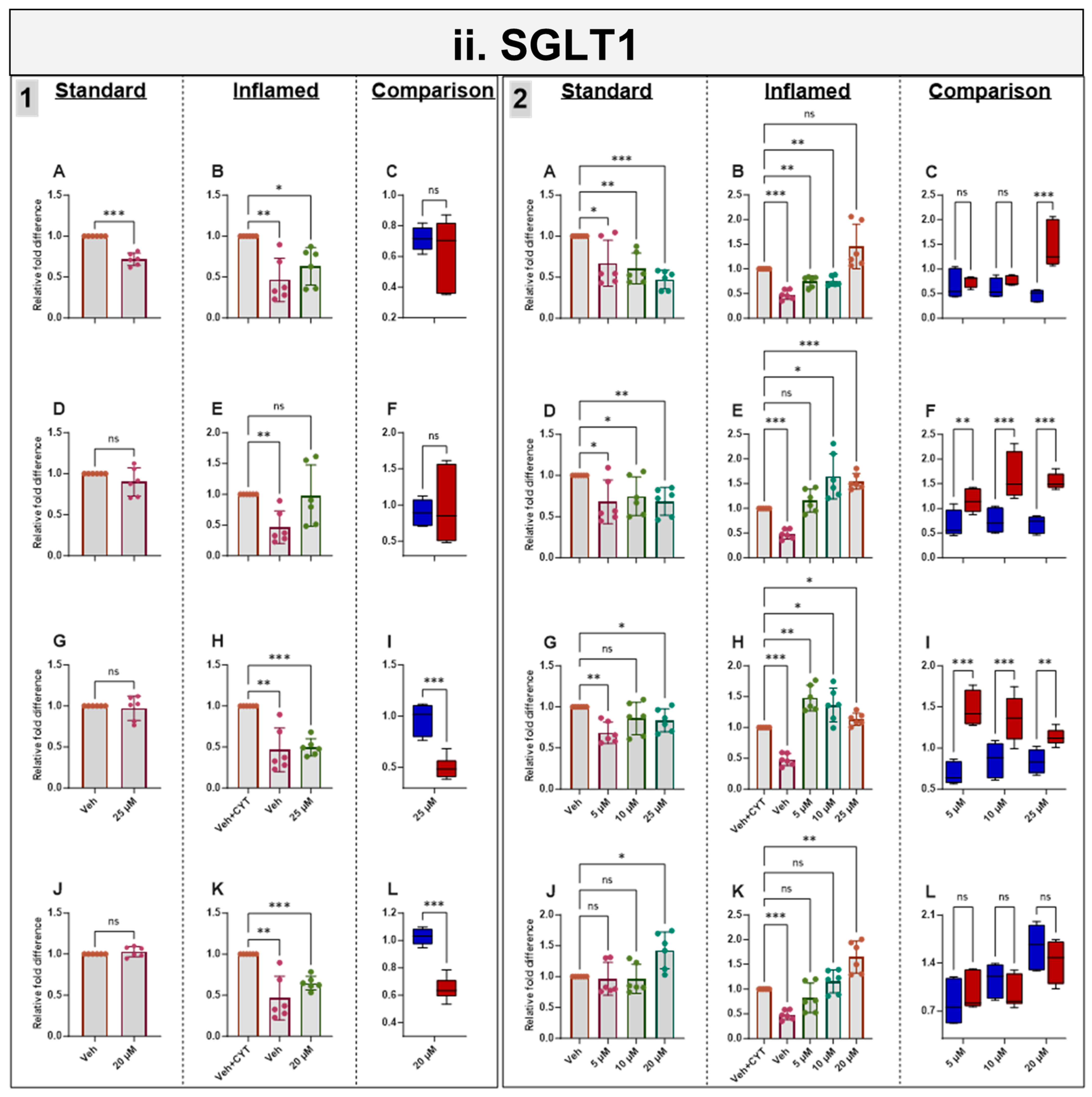 Antioxidants 14 00253 g005b Antioxidants 14 00253 g005b
