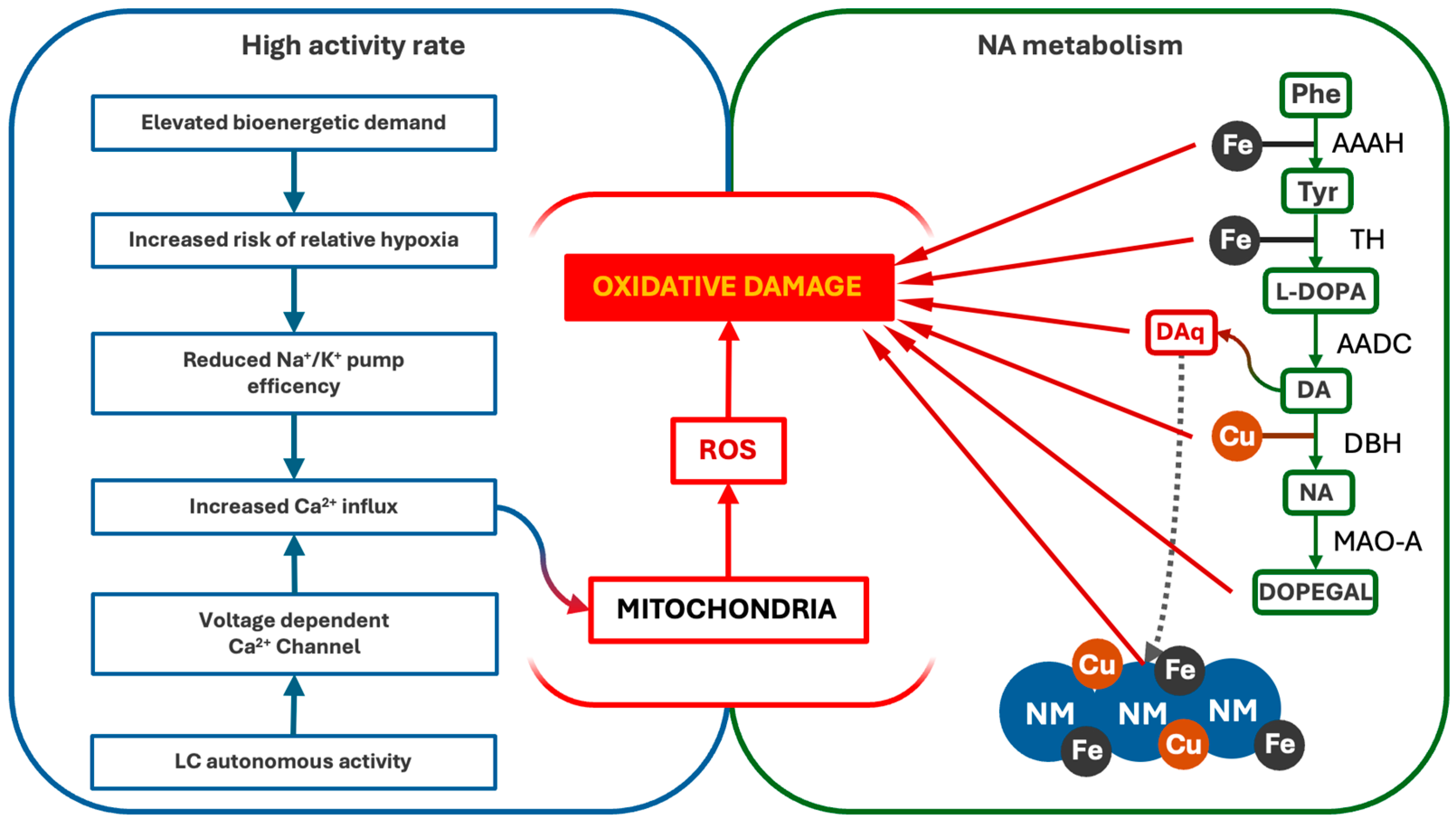 Antioxidants 14 00255 g002