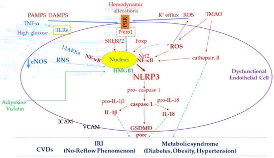 Antioxidants 14 00256 g002
