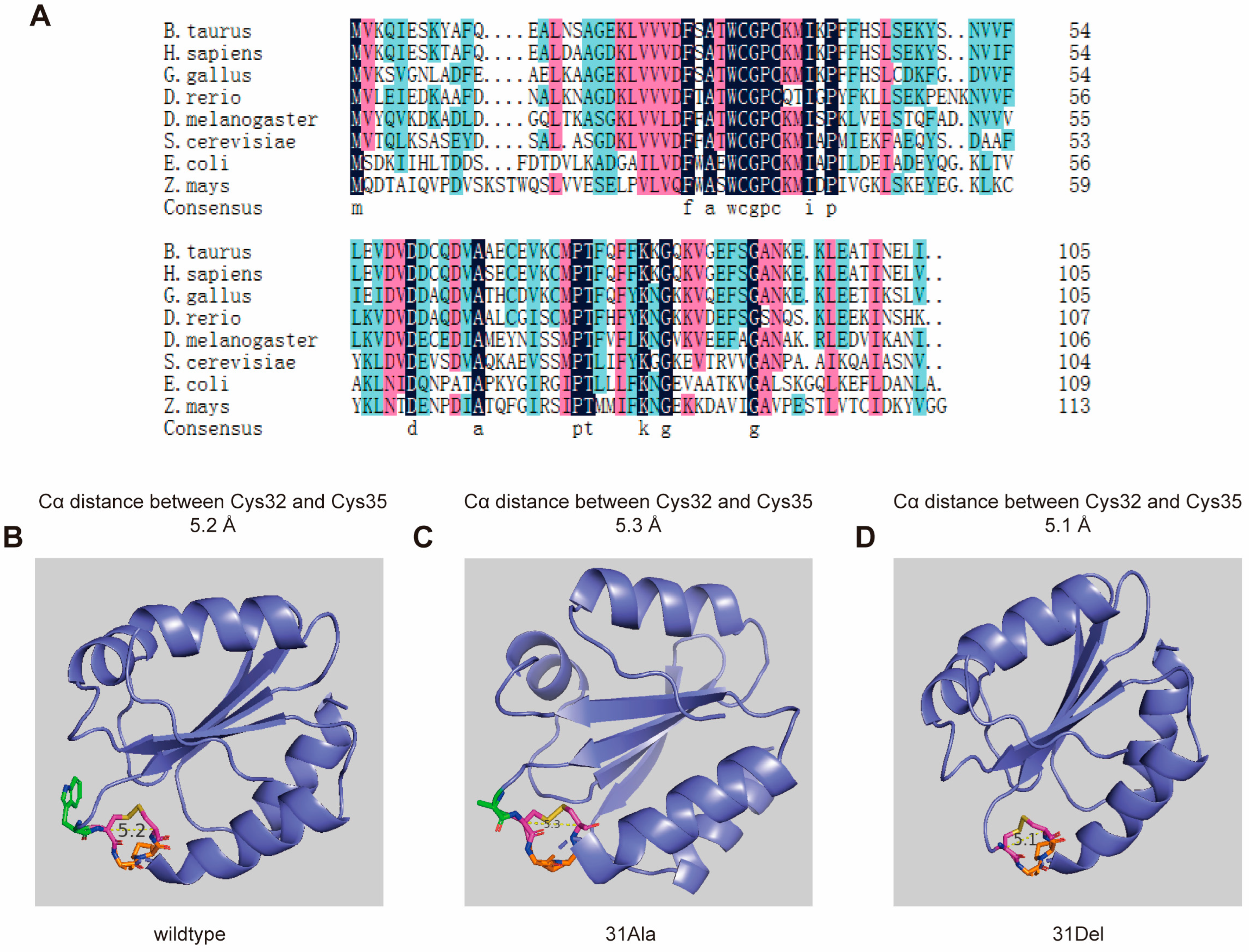 Antioxidants 14 00257 g001