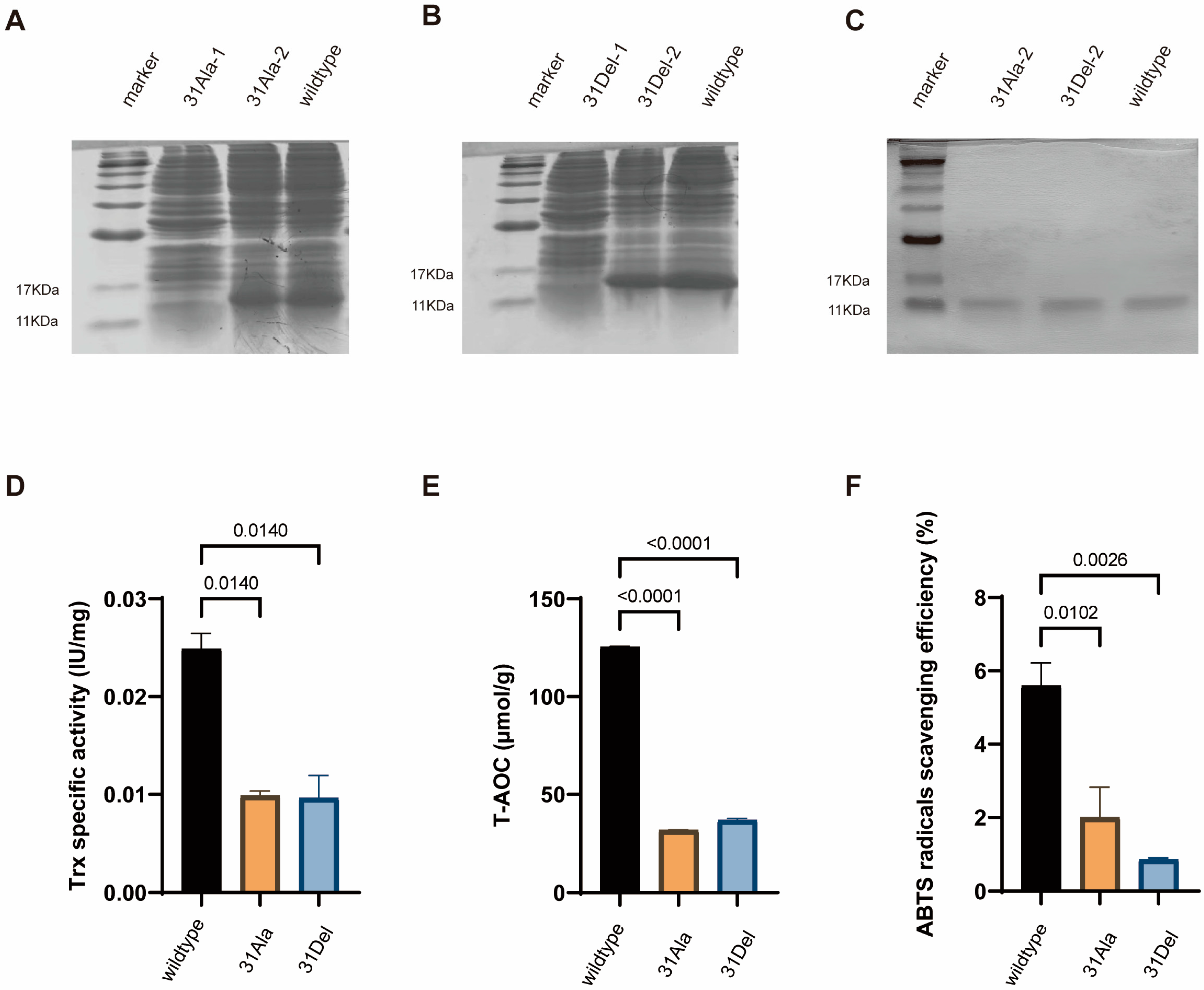 Antioxidants 14 00257 g002