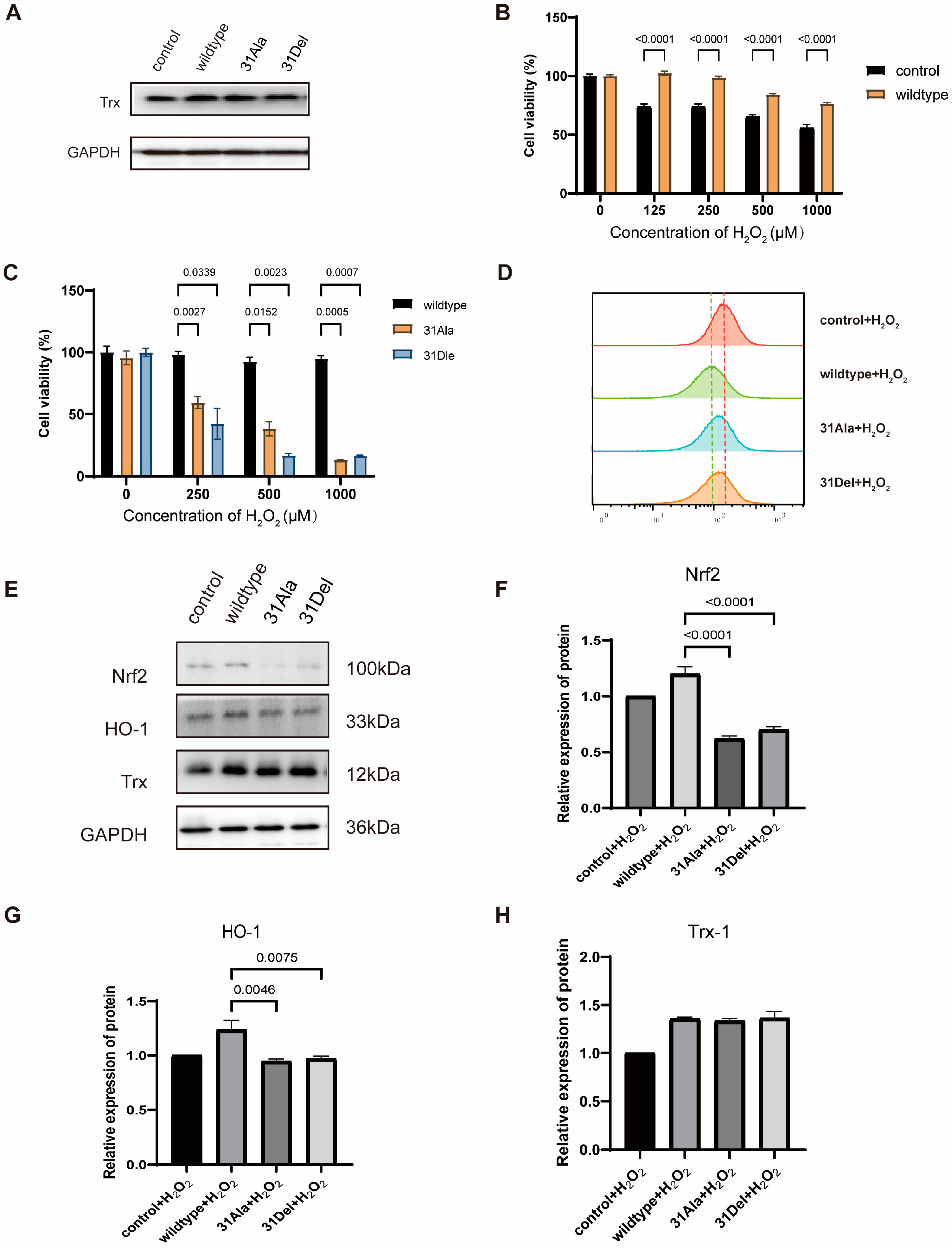 Antioxidants 14 00257 g003
