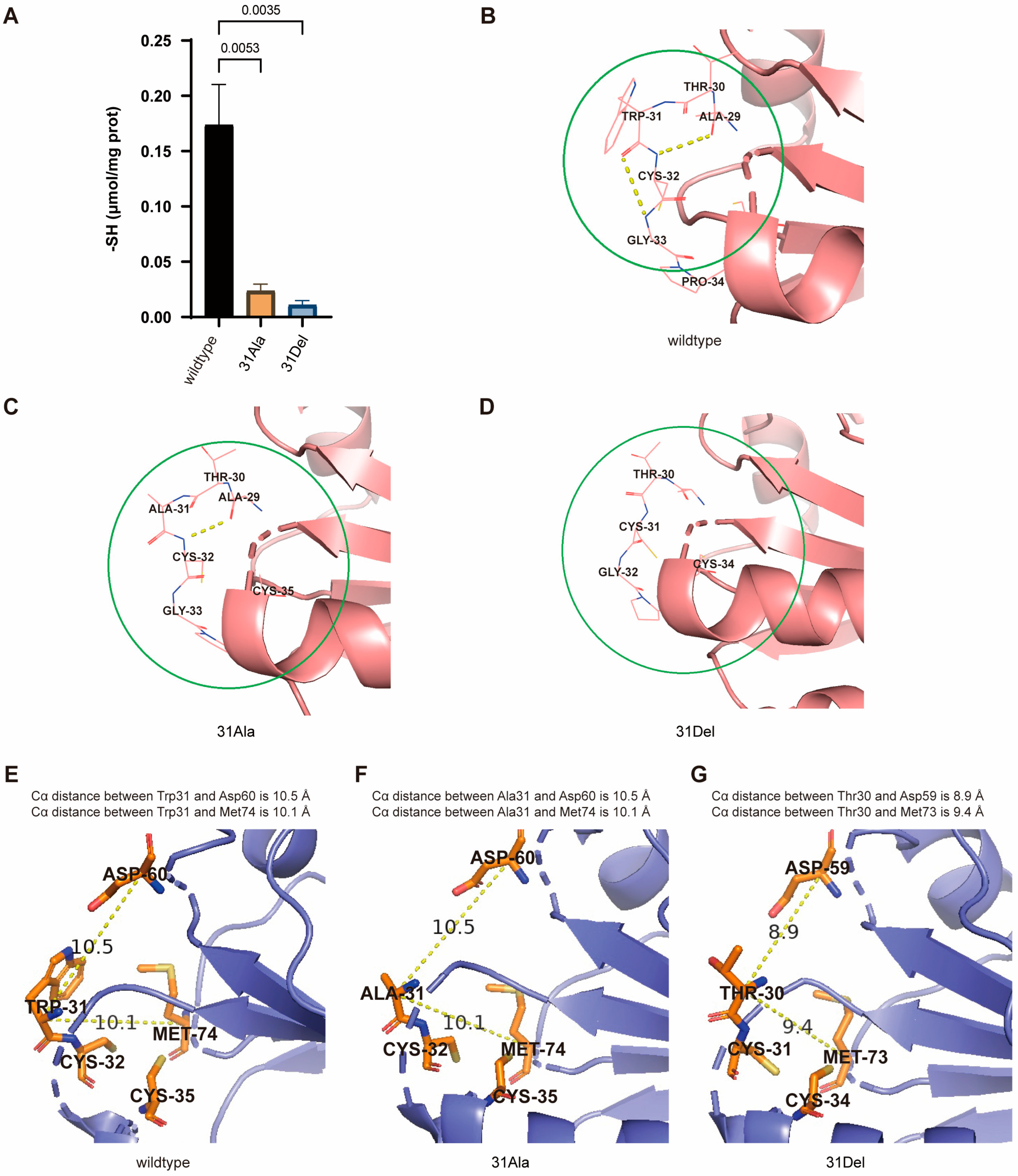 Antioxidants 14 00257 g004