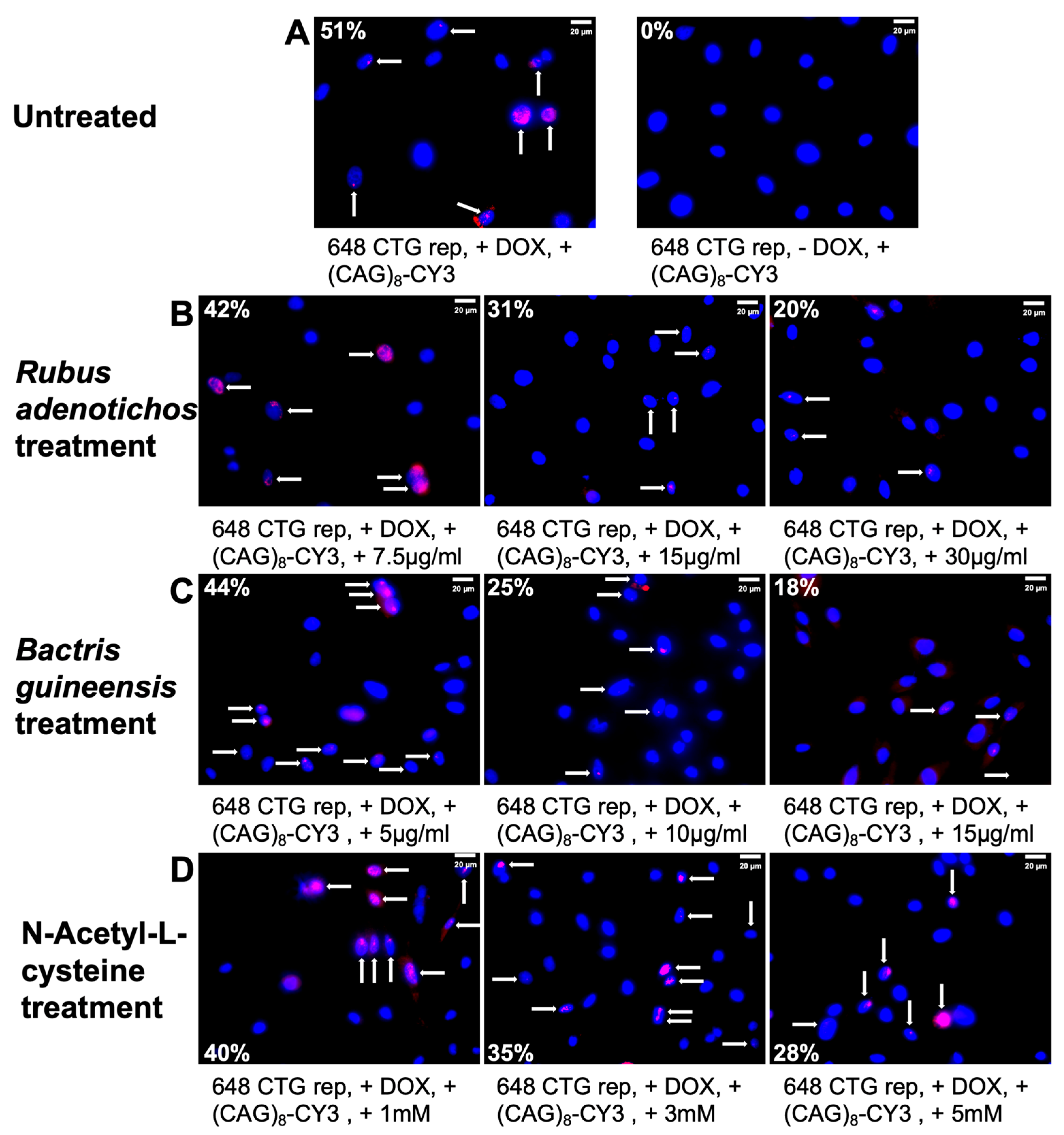 Antioxidants 14 00260 g003