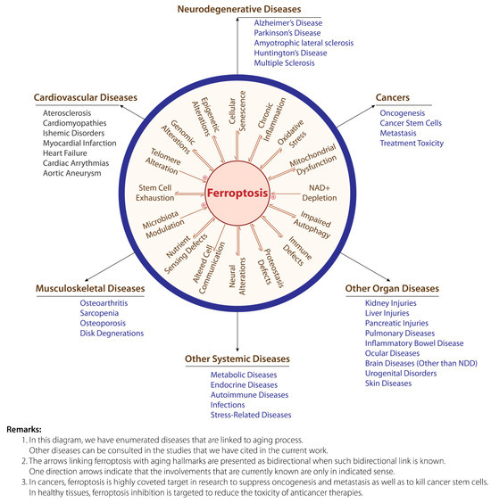 Antioxidants 14 00265 g001