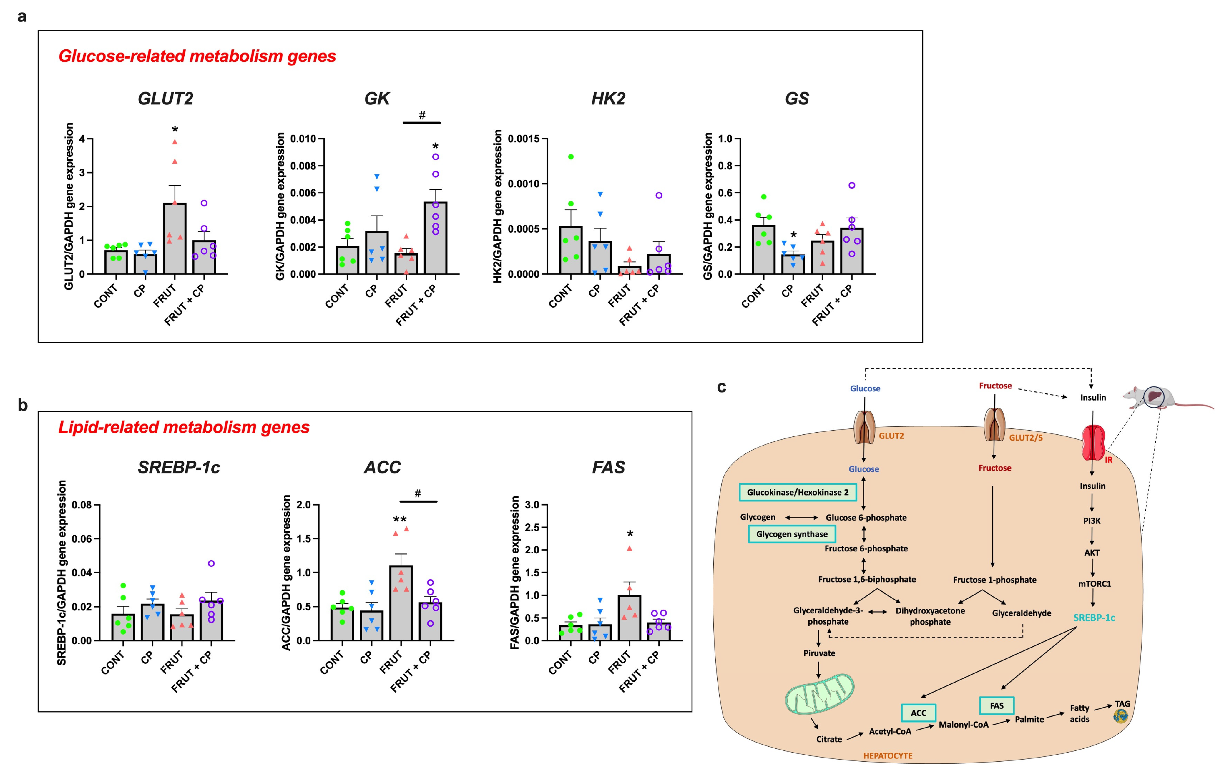 Antioxidants 14 00266 g004