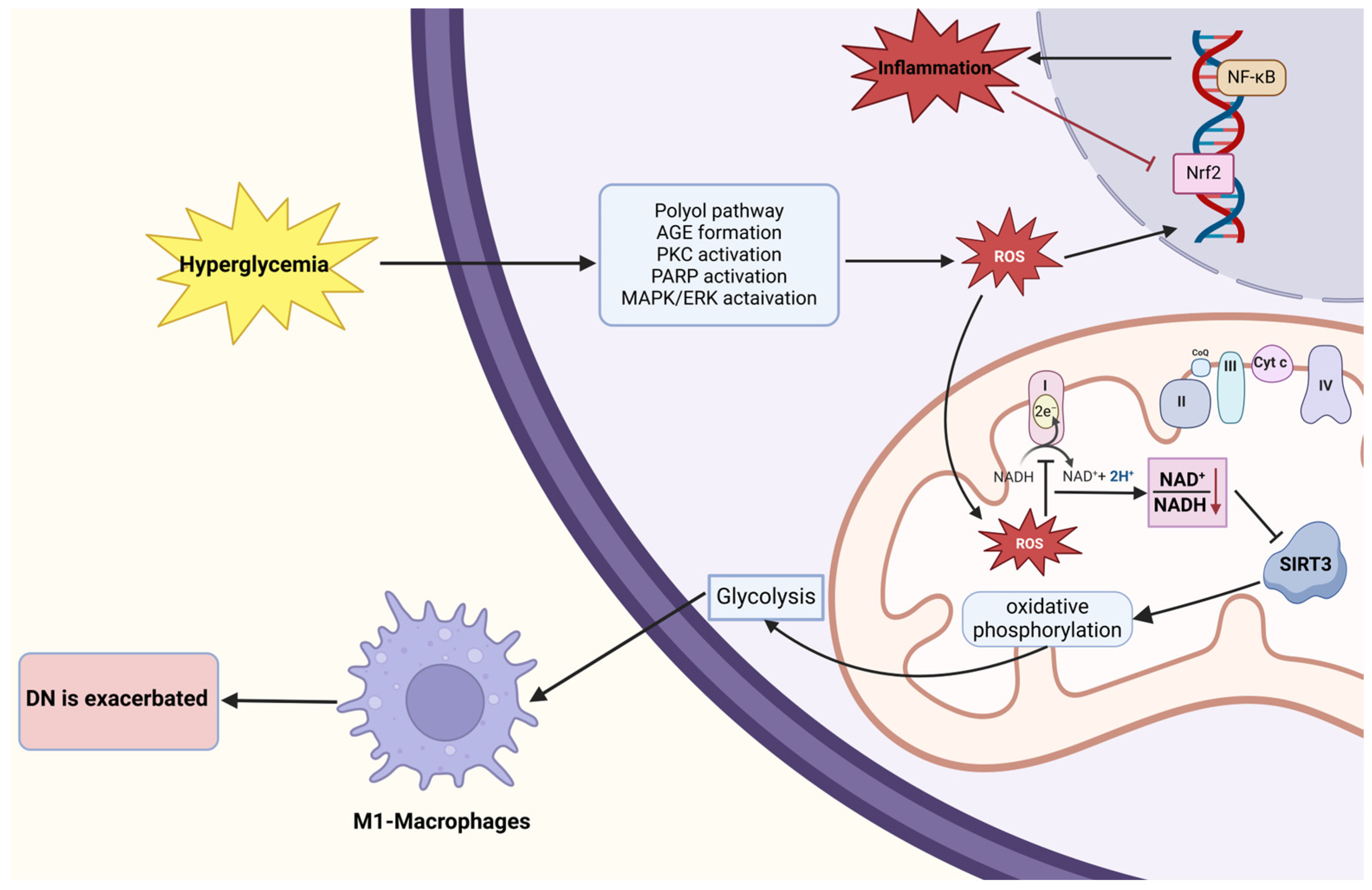 Antioxidants 14 00267 g003