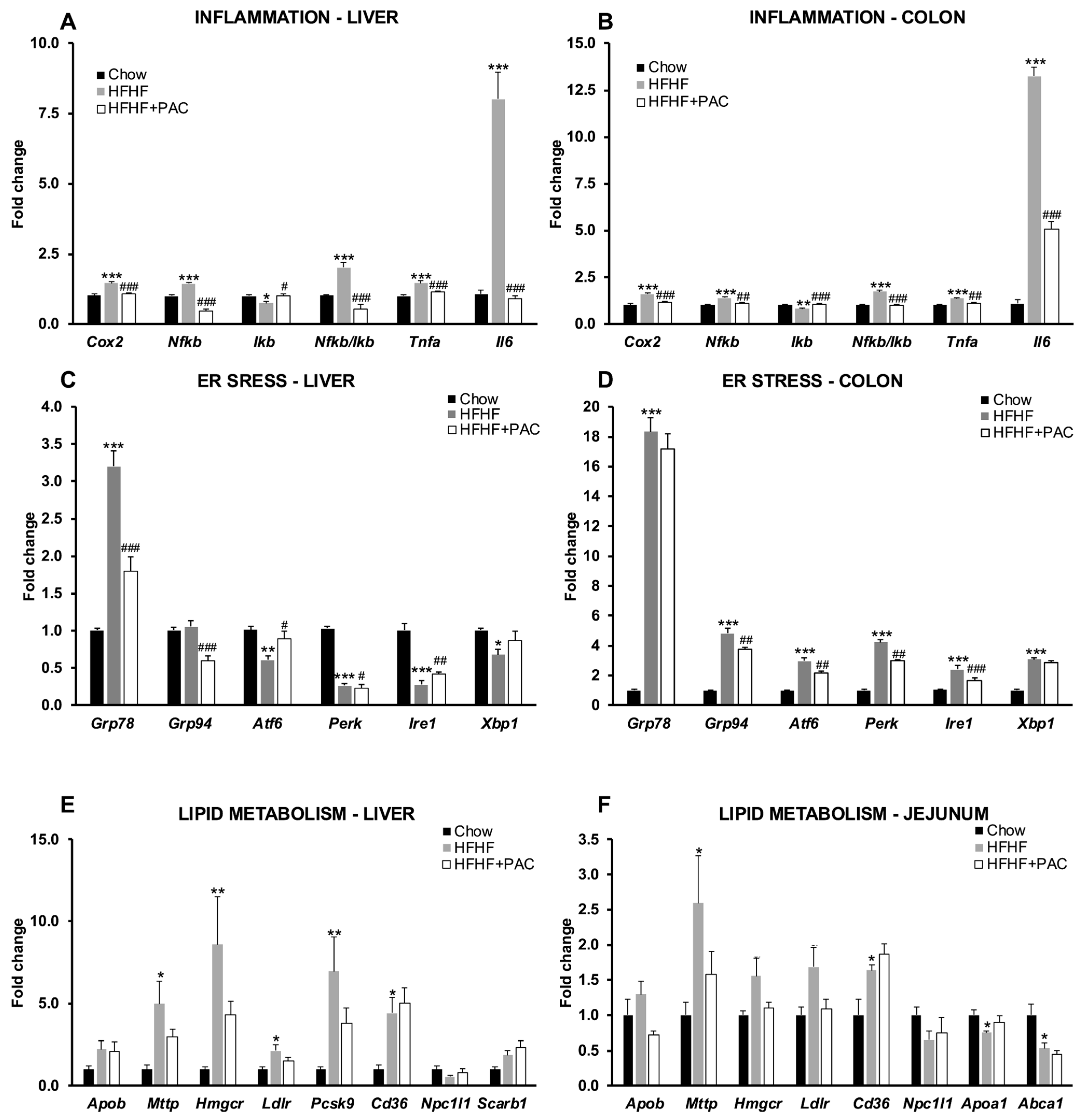 Antioxidants 14 00268 g006