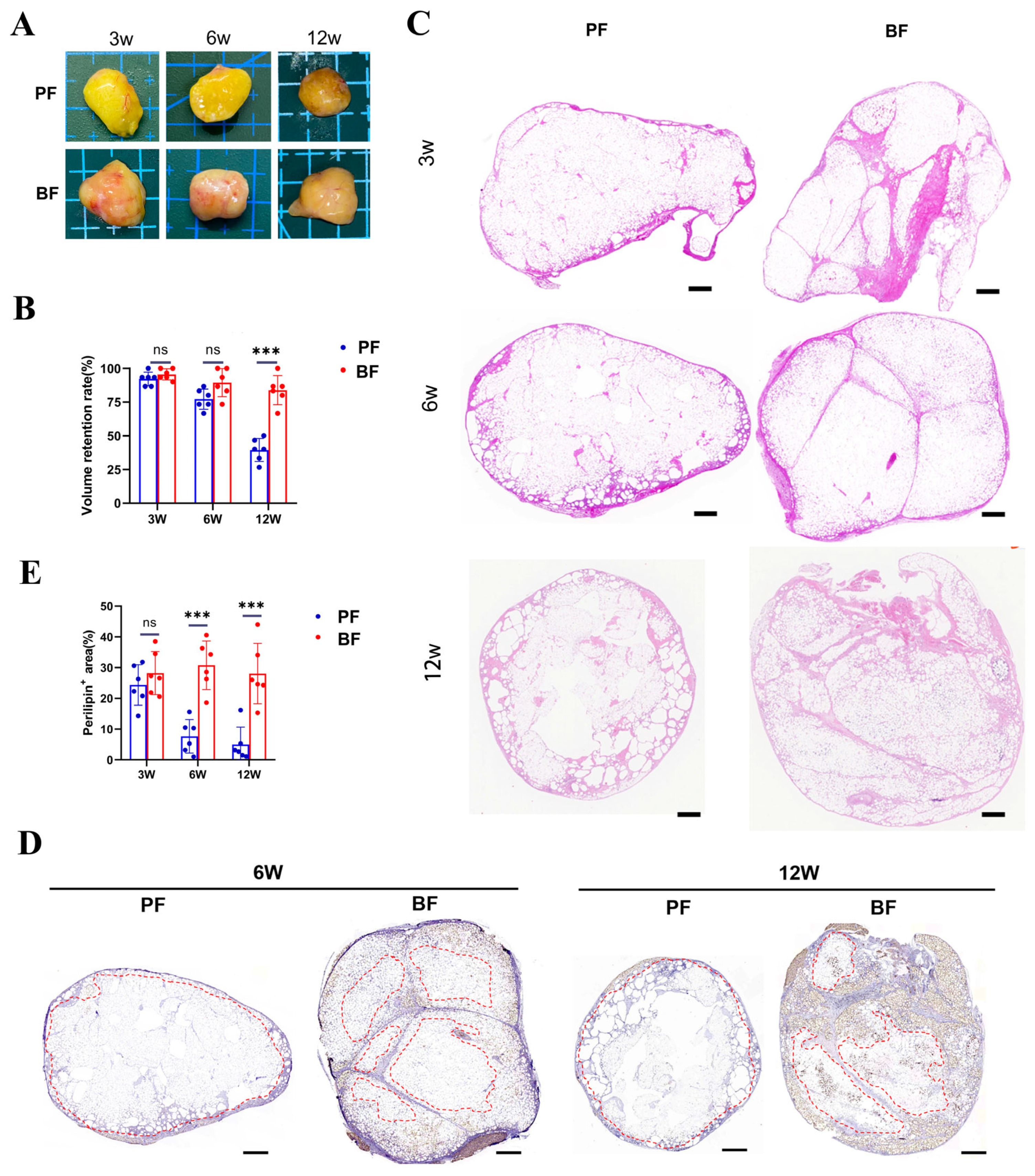 Antioxidants 14 00270 g001