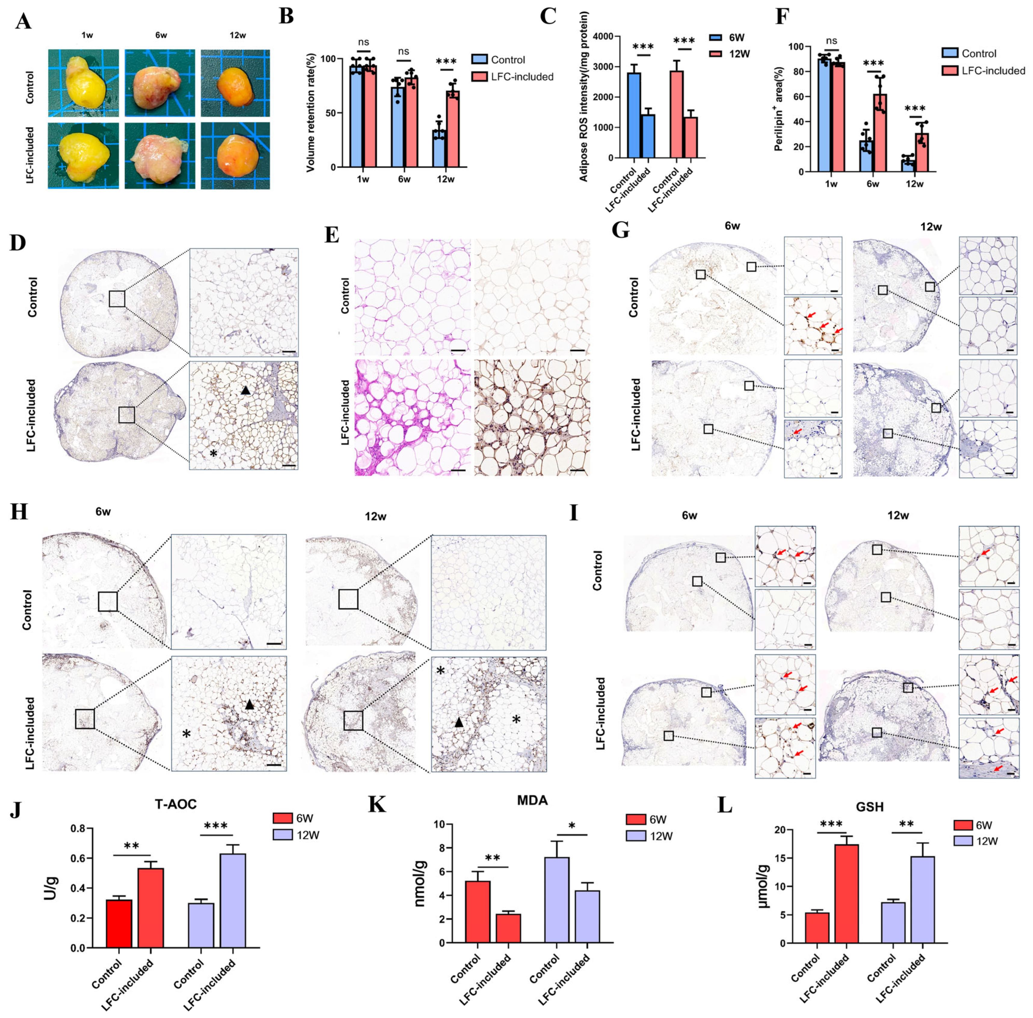 Antioxidants 14 00270 g008