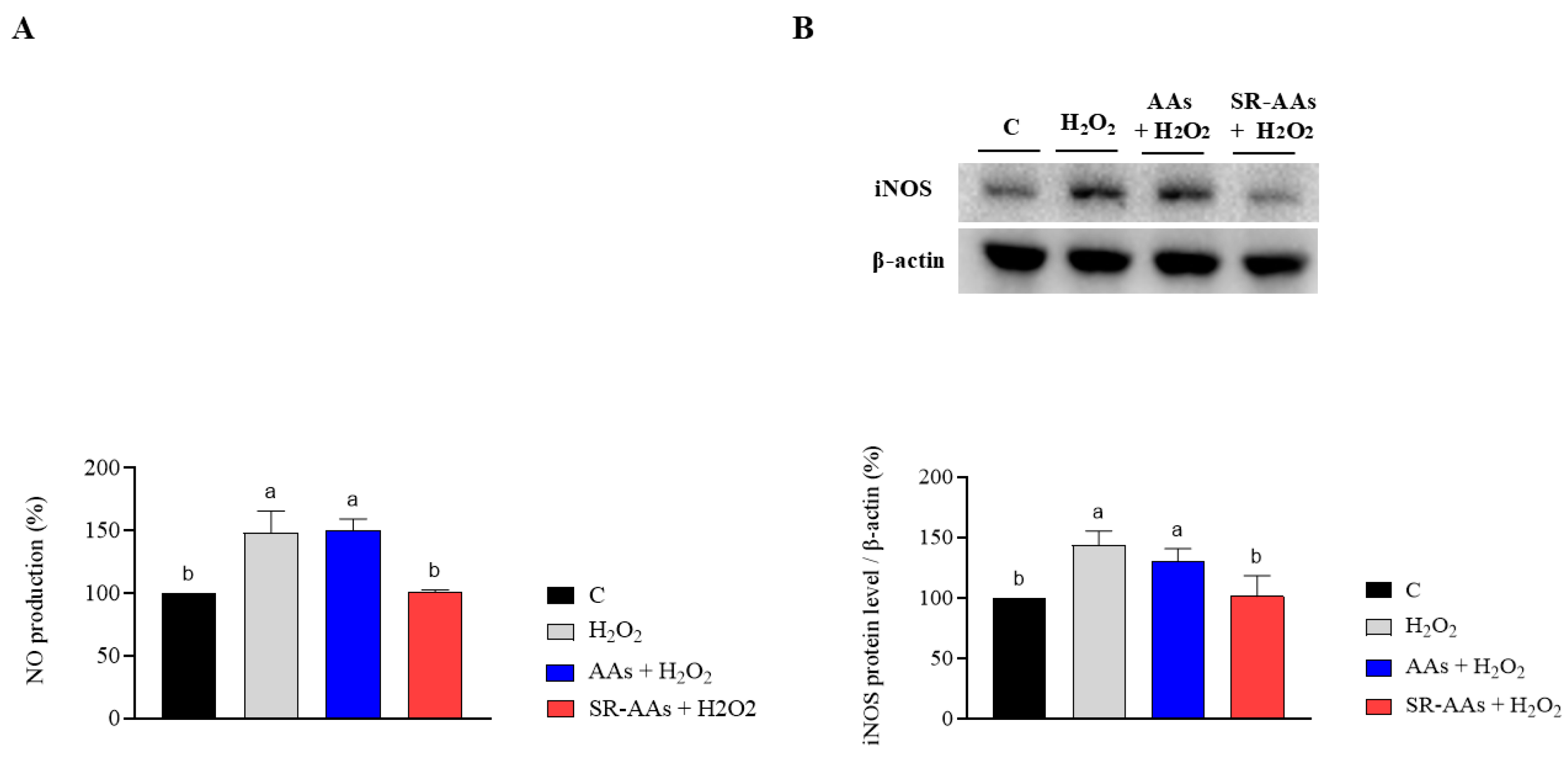 Antioxidants 14 00271 g004