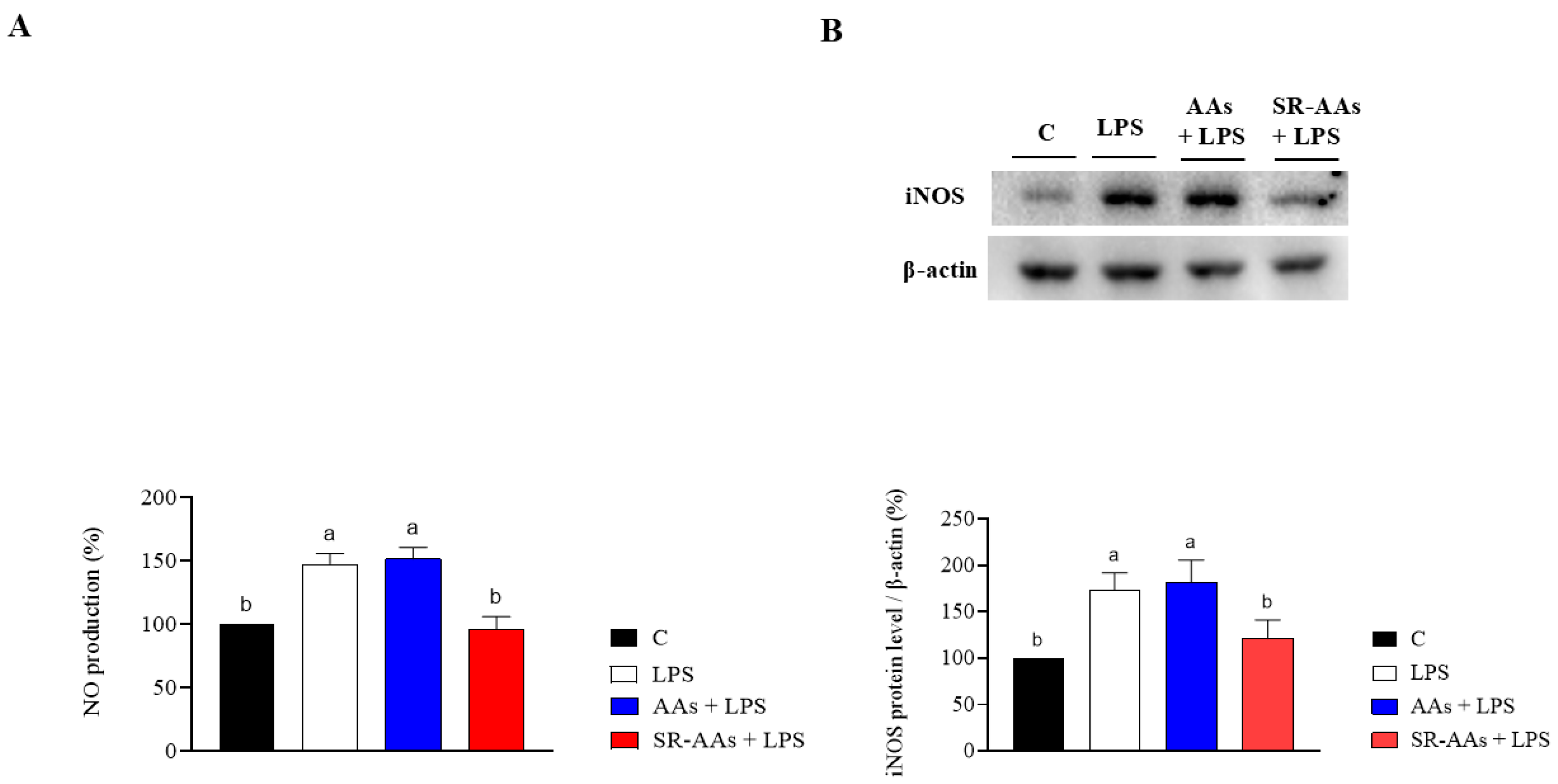 Antioxidants 14 00271 g005