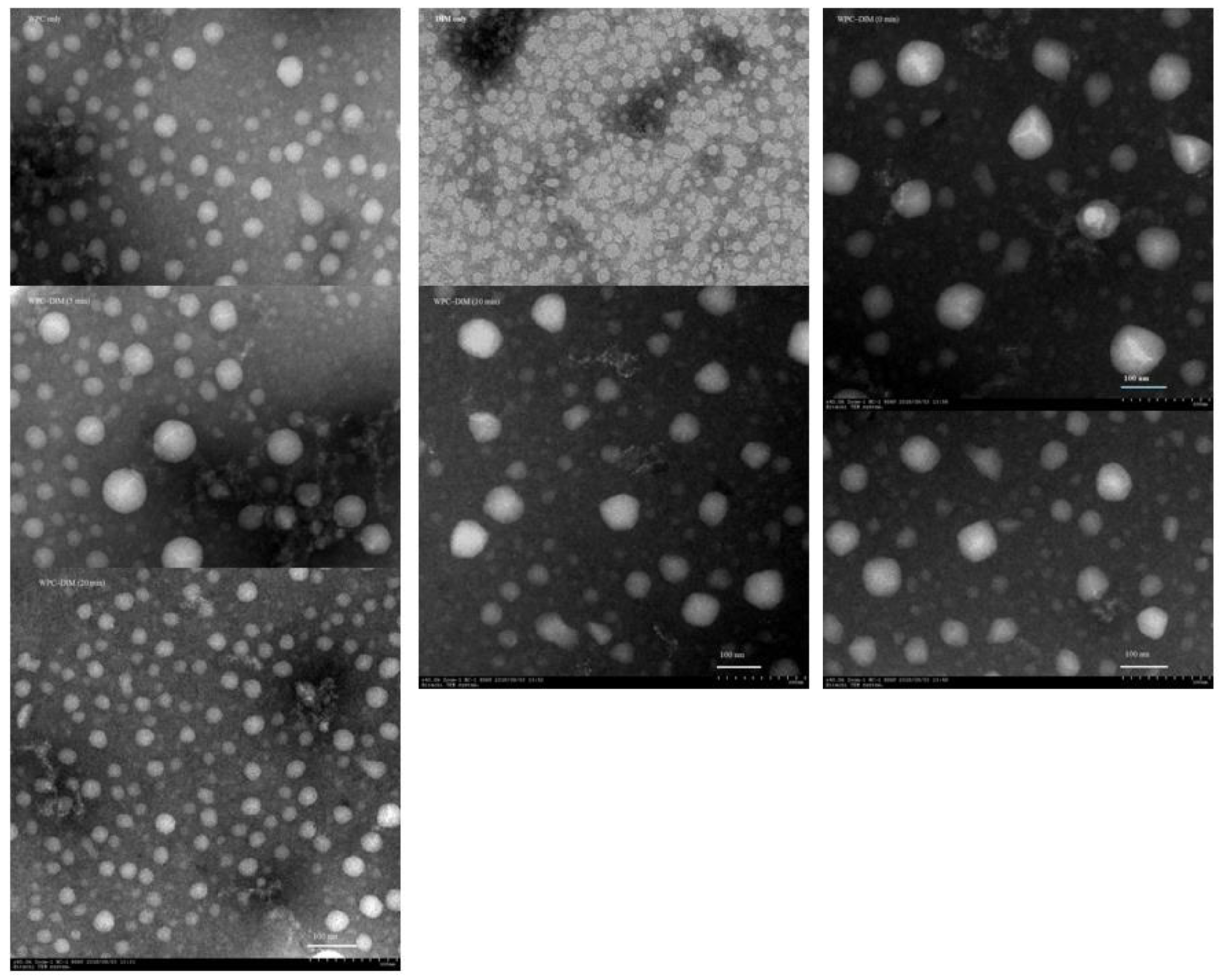 Antioxidants 14 00273 g002