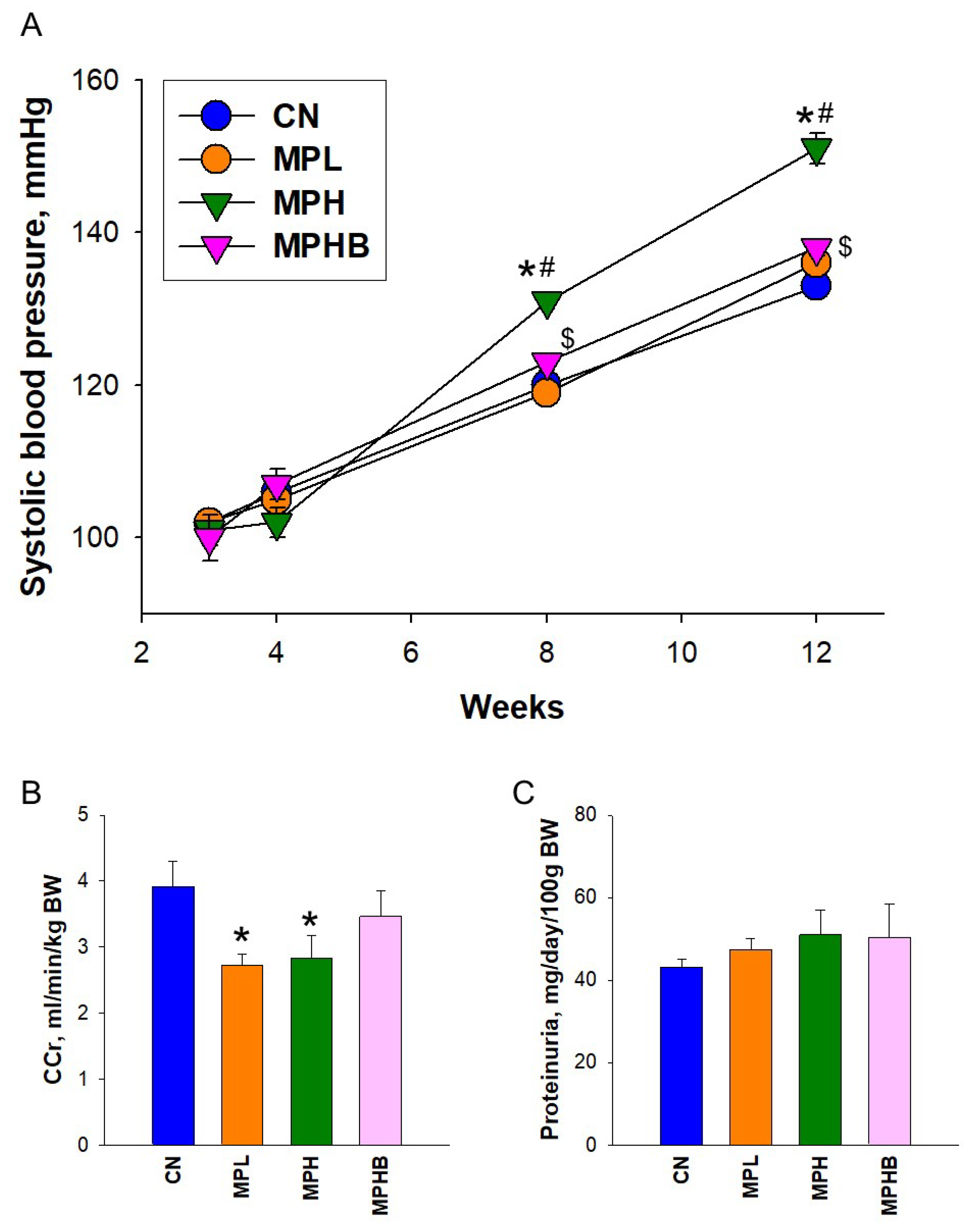 Antioxidants 14 00276 g001