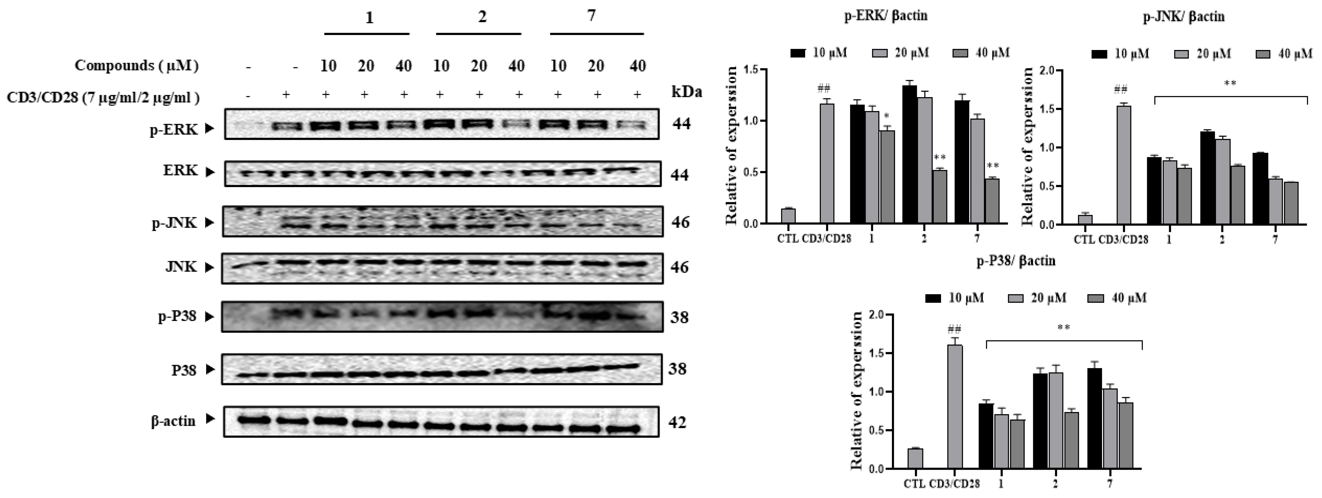 Antioxidants 14 00281 g005