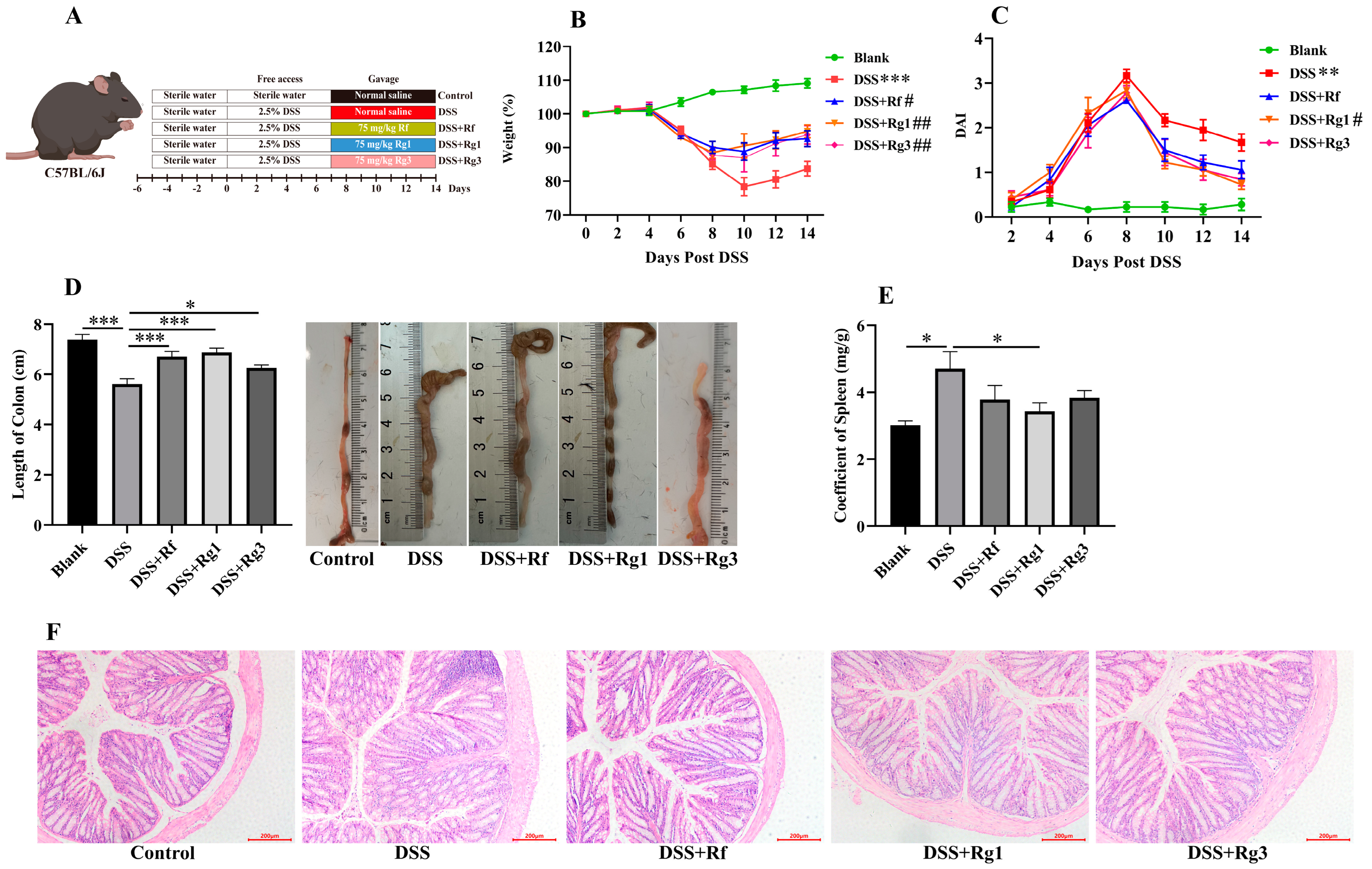 Antioxidants 14 00283 g005