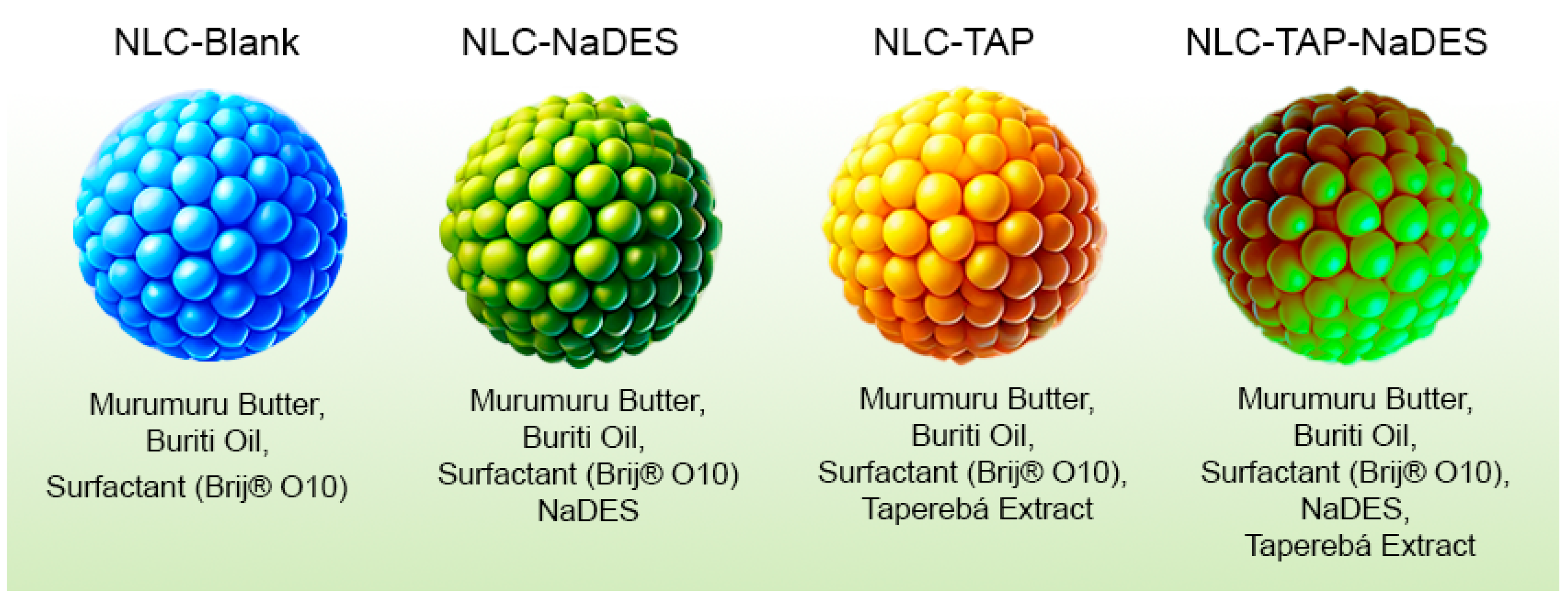 Antioxidants 14 00290 g001