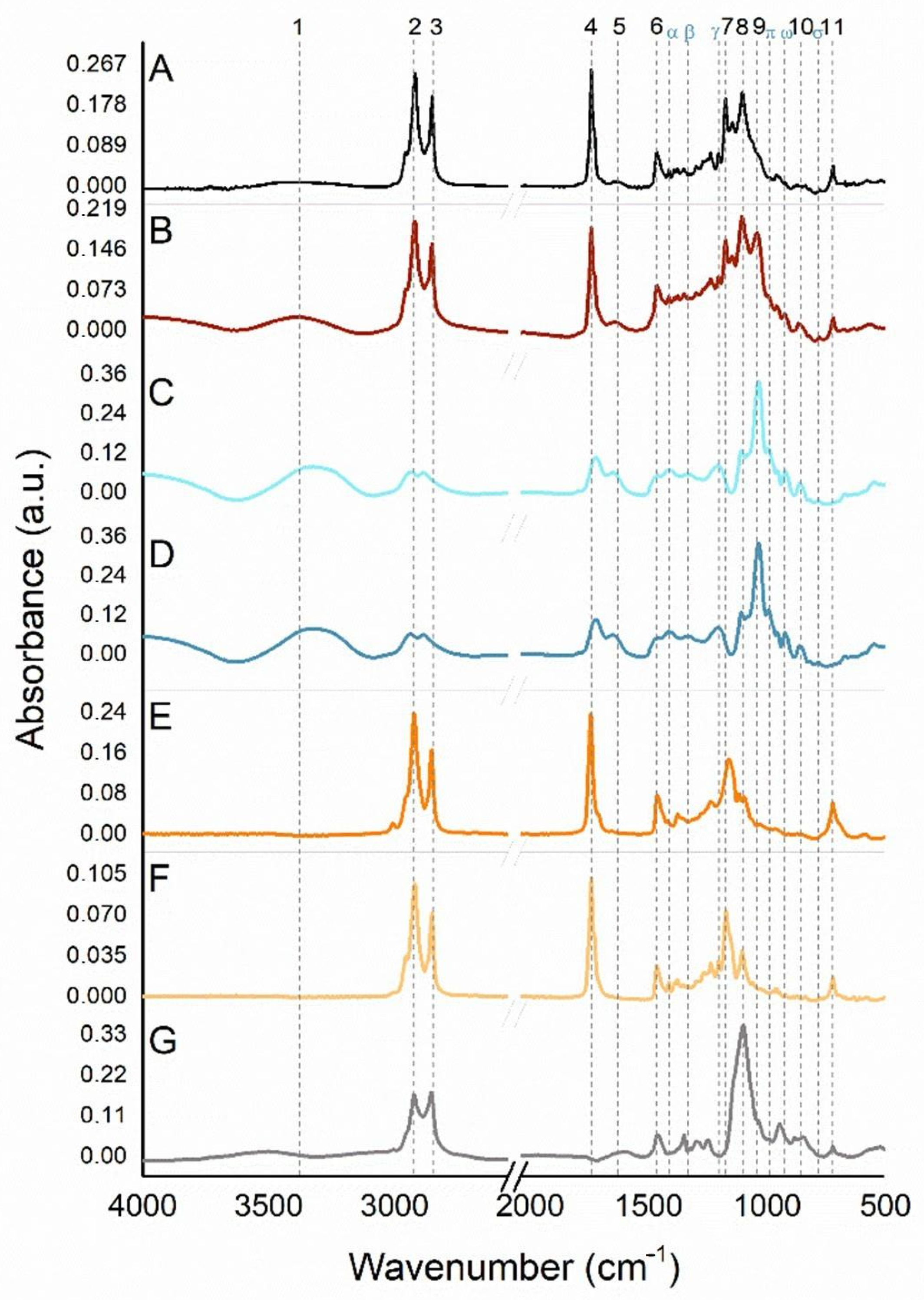 Antioxidants 14 00290 g009