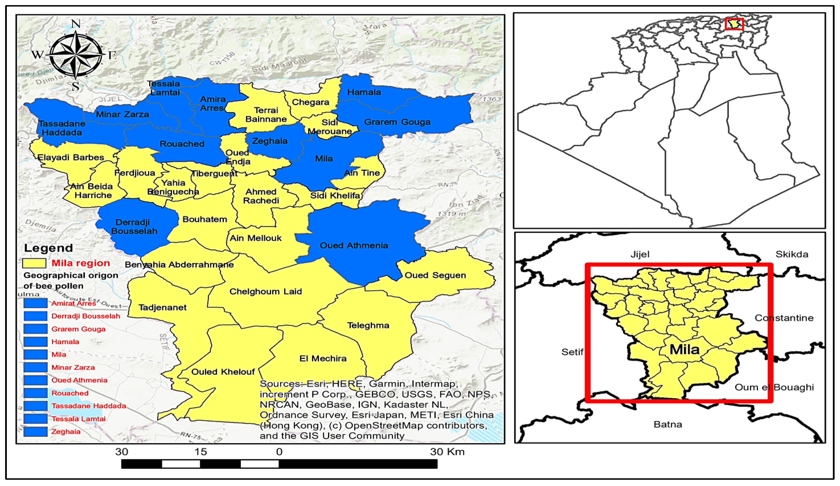 Antioxidants 14 00291 g001