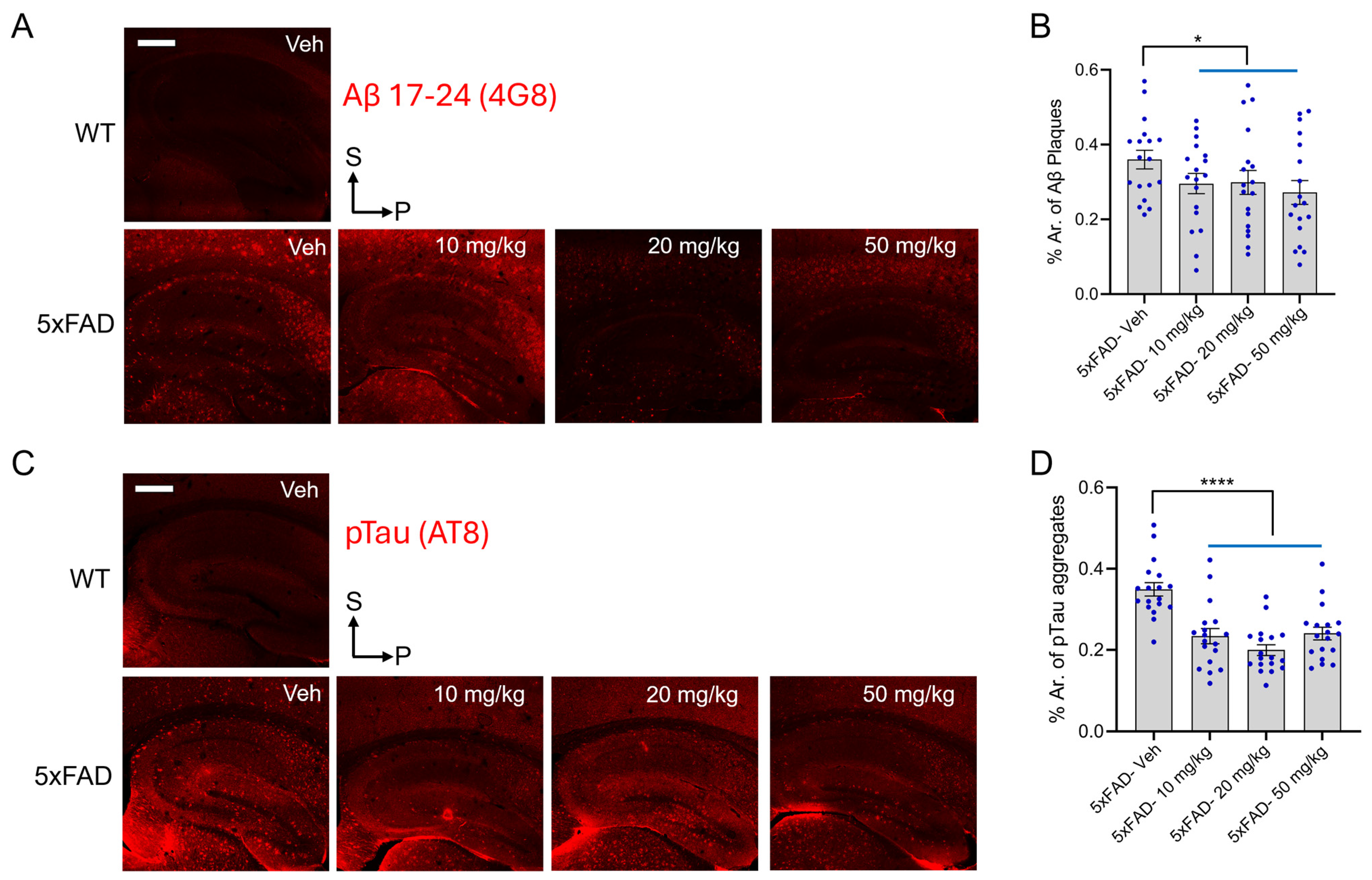 Antioxidants 14 00293 g002