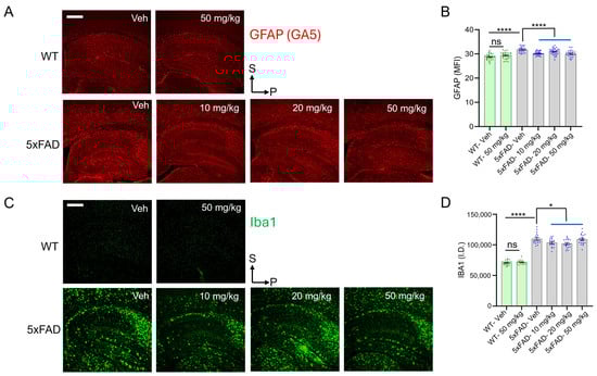 Antioxidants 14 00293 g003