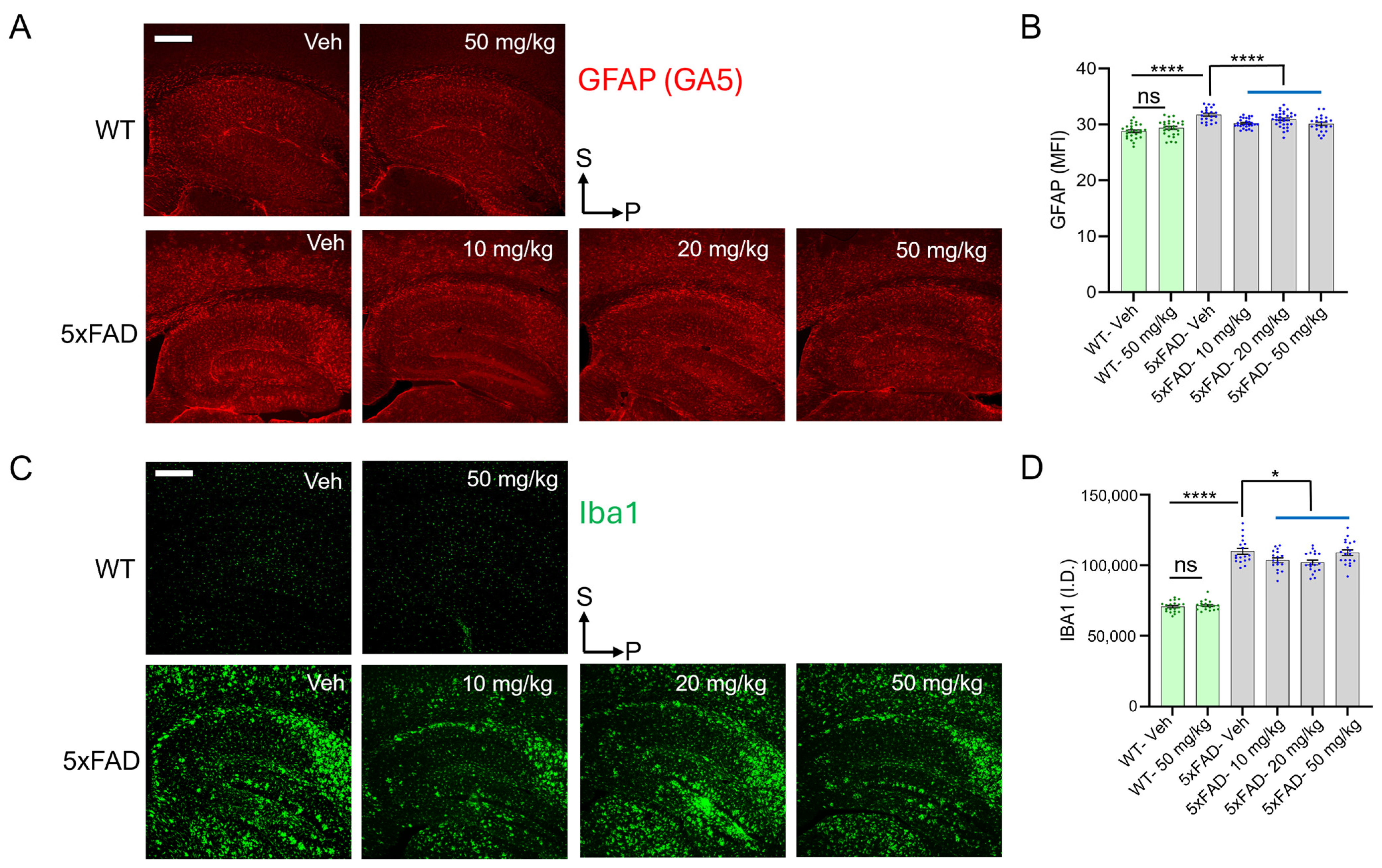 Antioxidants 14 00293 g003