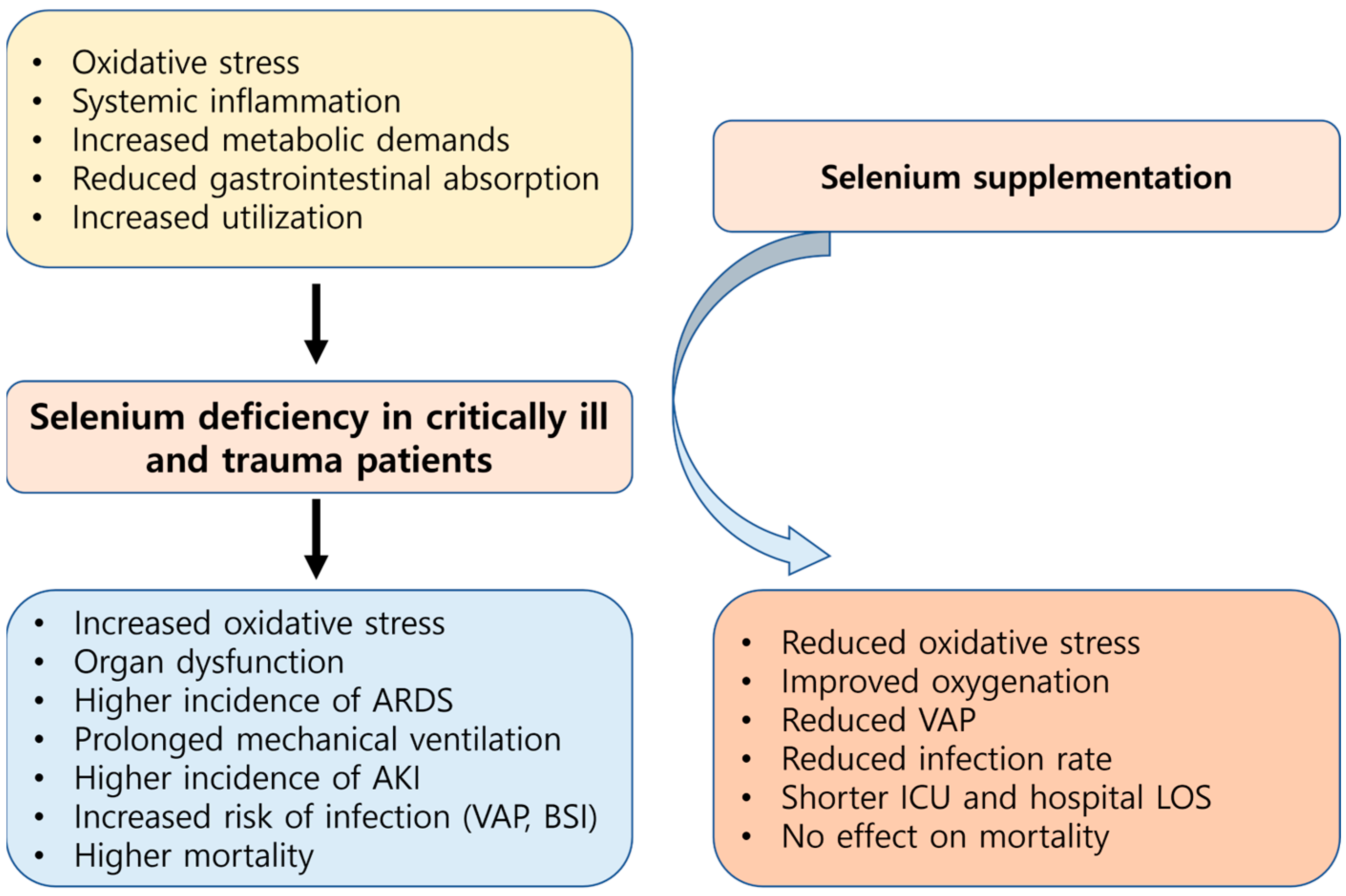 Antioxidants 14 00294 g003