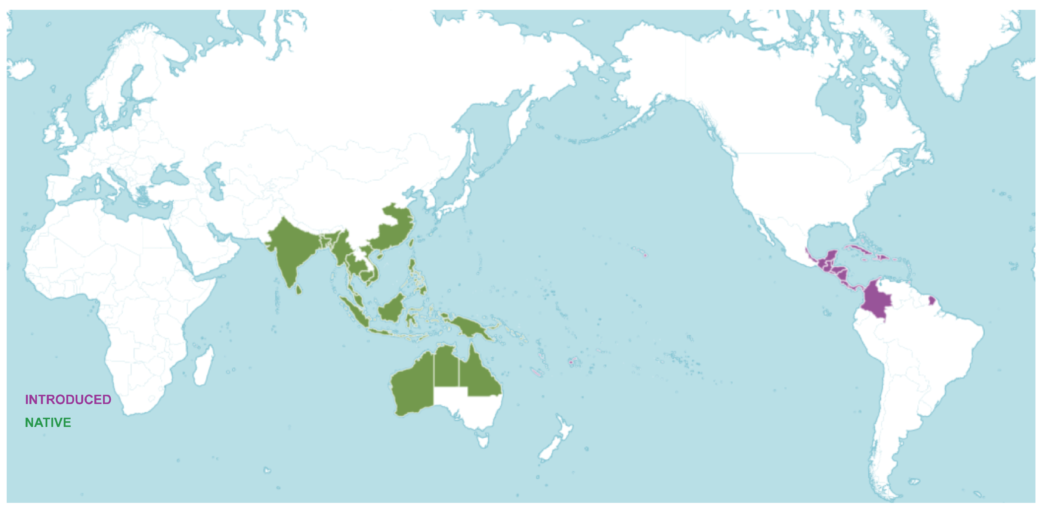 Antioxidants 14 00295 g002