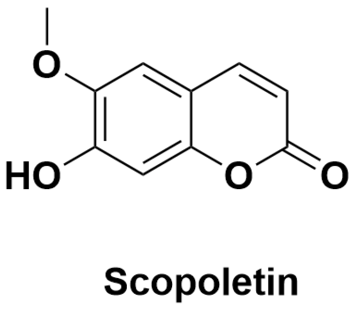 Antioxidants 14 00295 g005