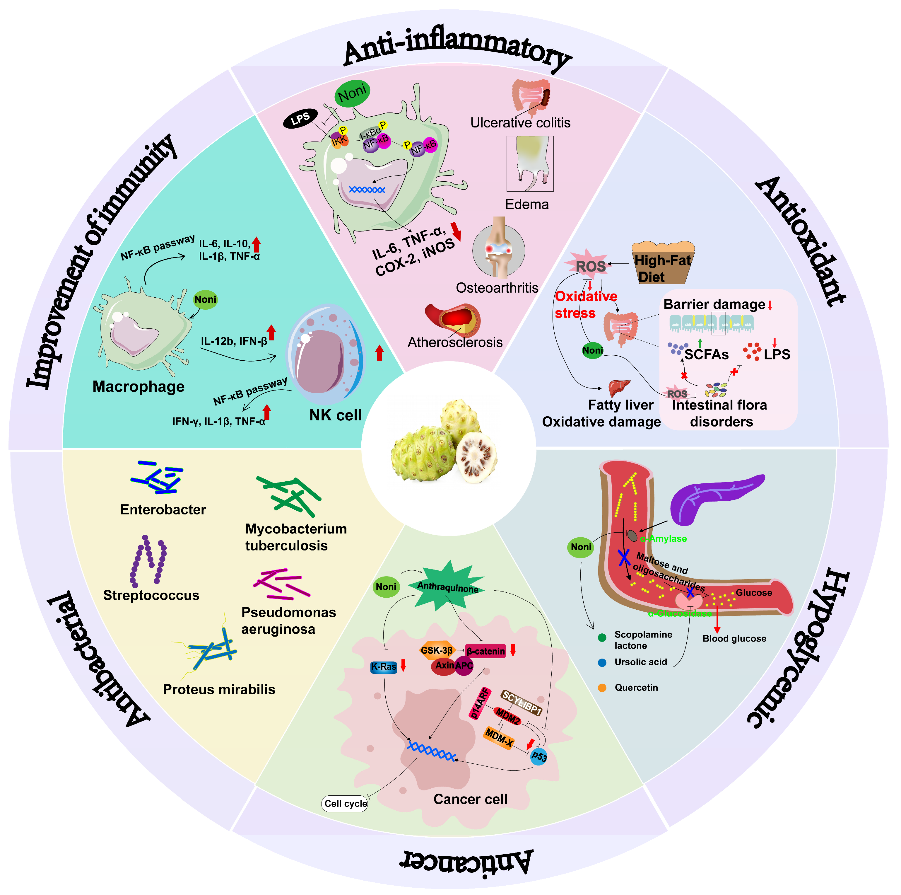 Antioxidants 14 00295 g009