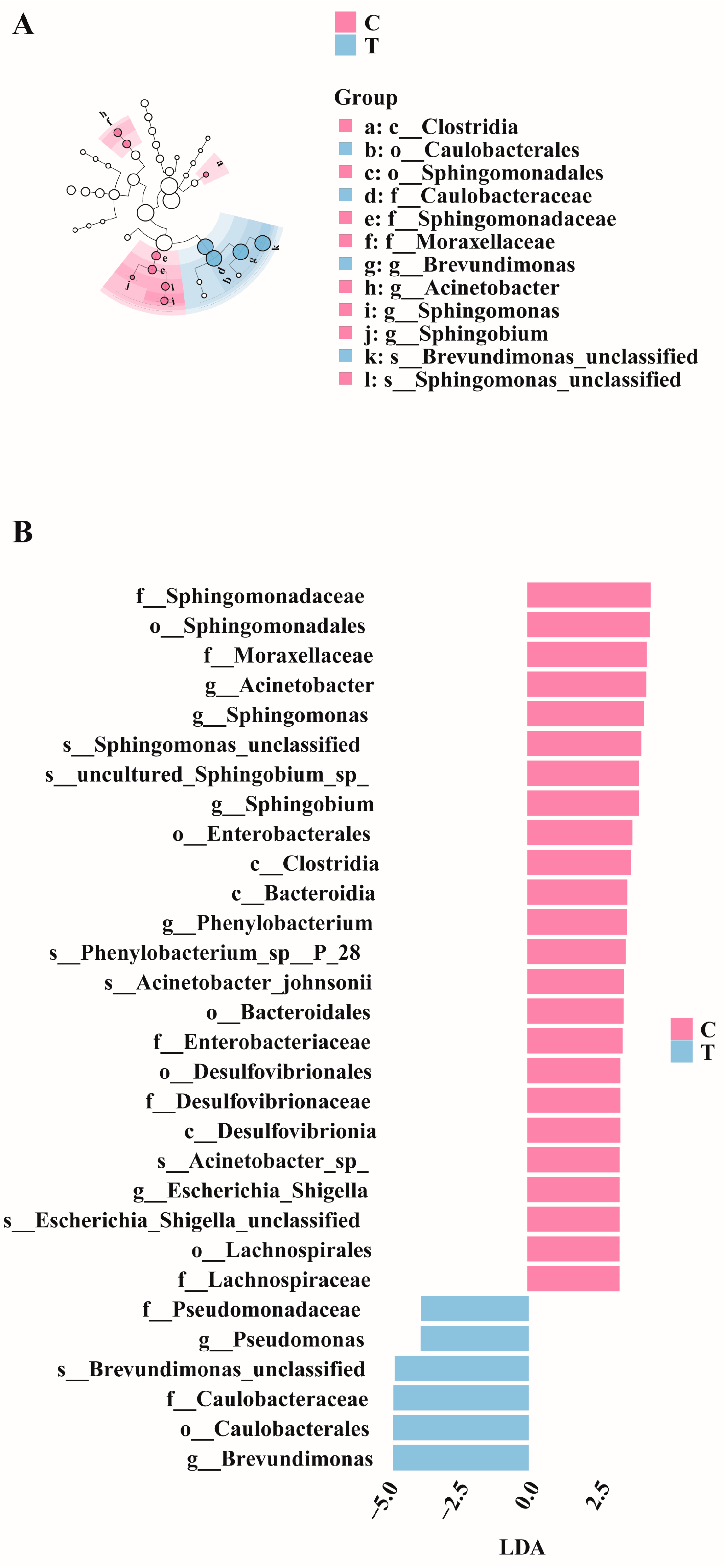 Antioxidants 14 00296 g005