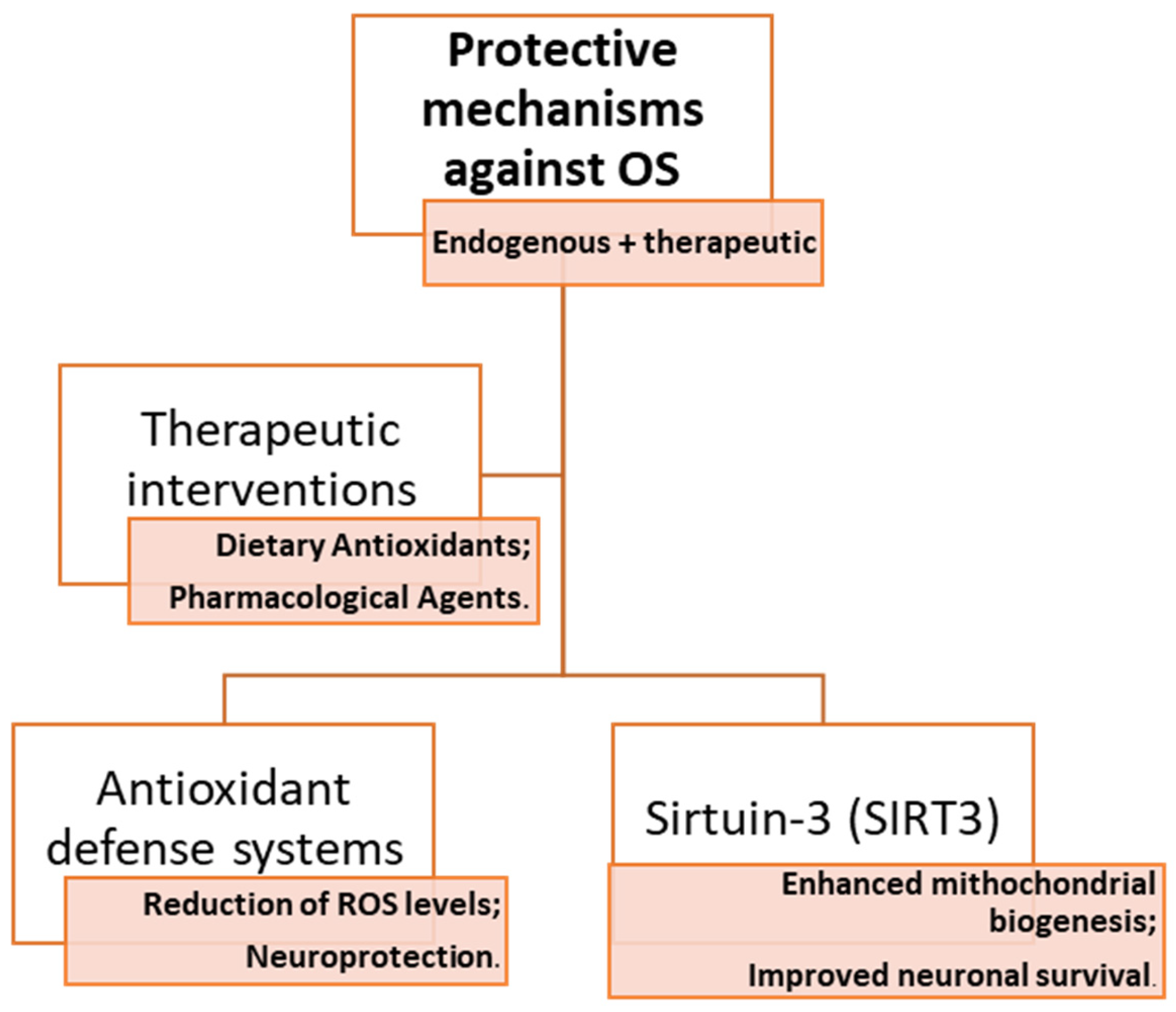 Antioxidants 14 00297 g002