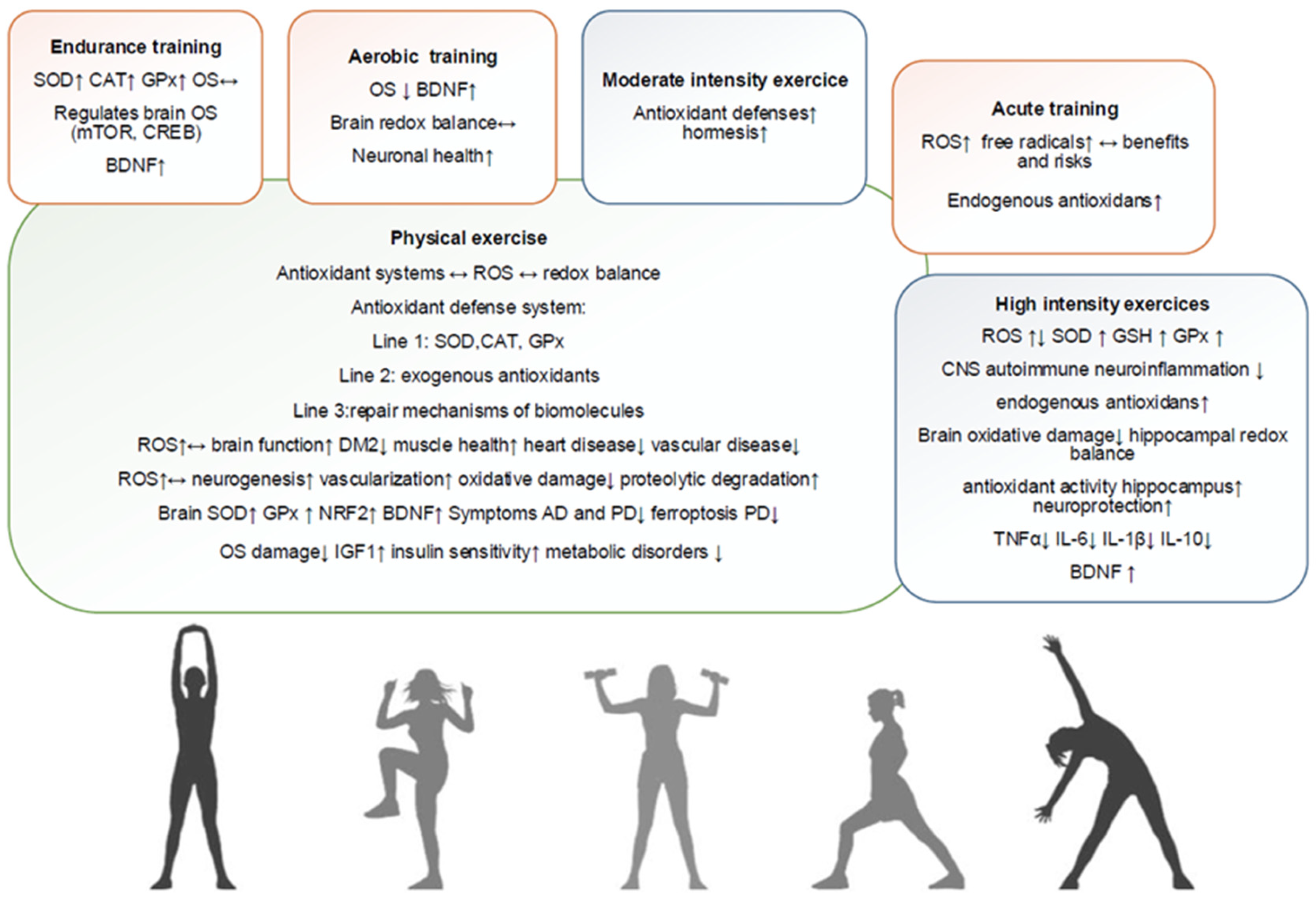 Antioxidants 14 00297 g003