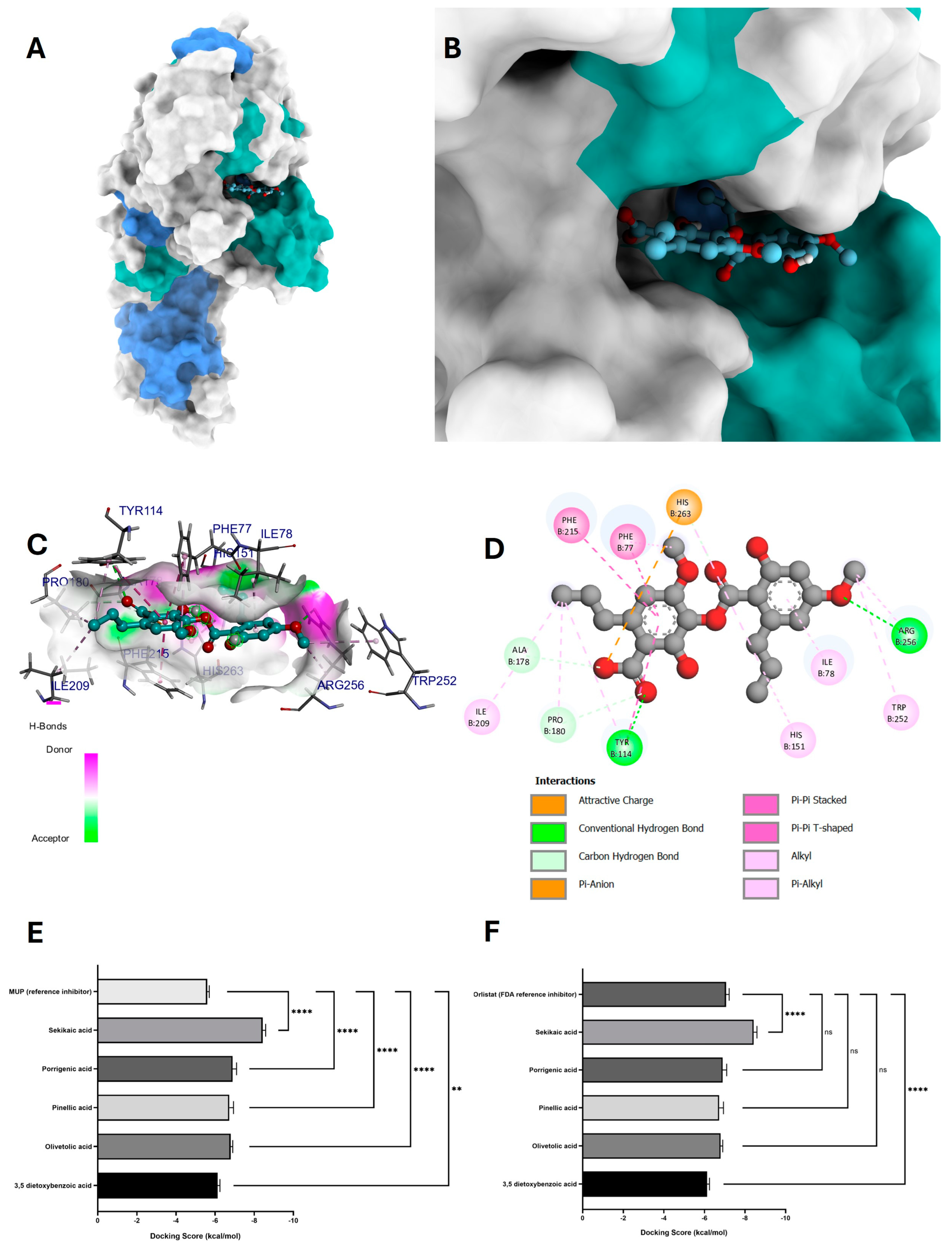Antioxidants 14 00298 g008