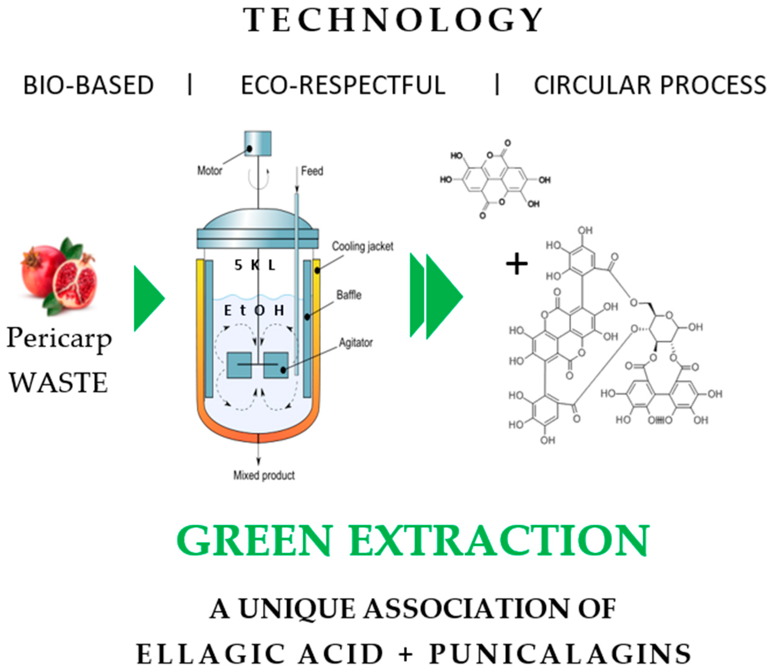 Antioxidants 14 00301 g001