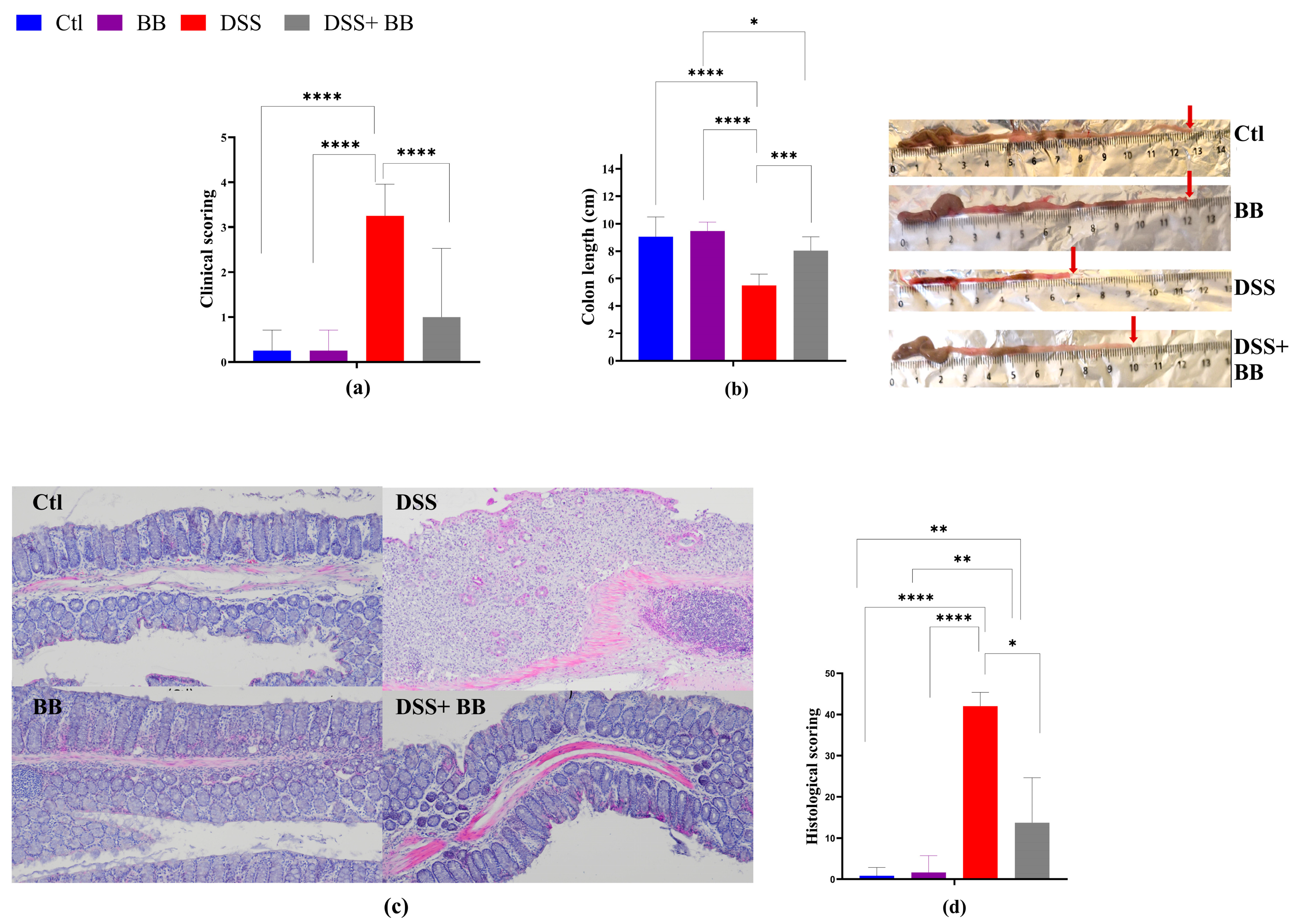 Antioxidants 14 00305 g001