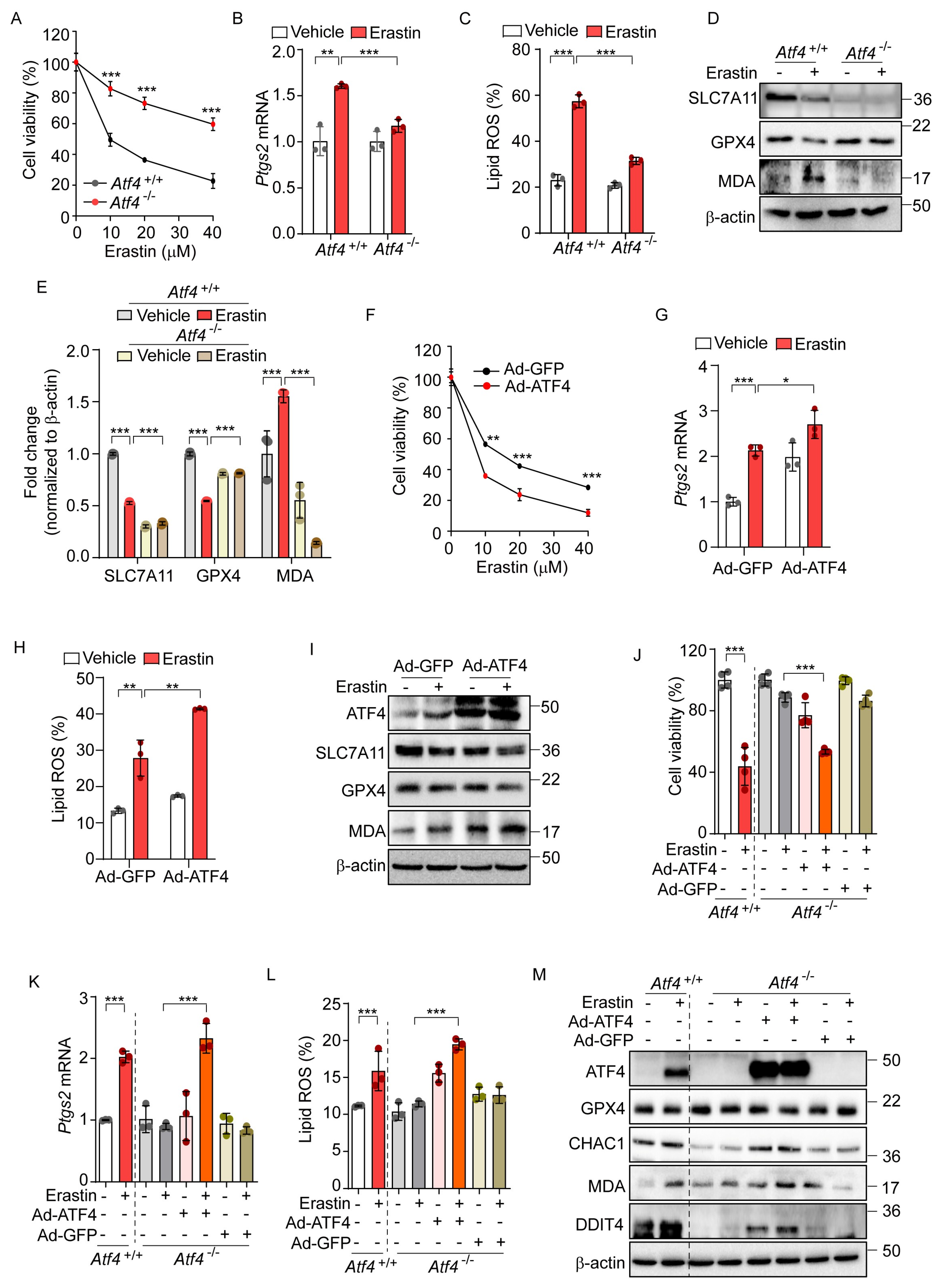 Antioxidants 14 00307 g003