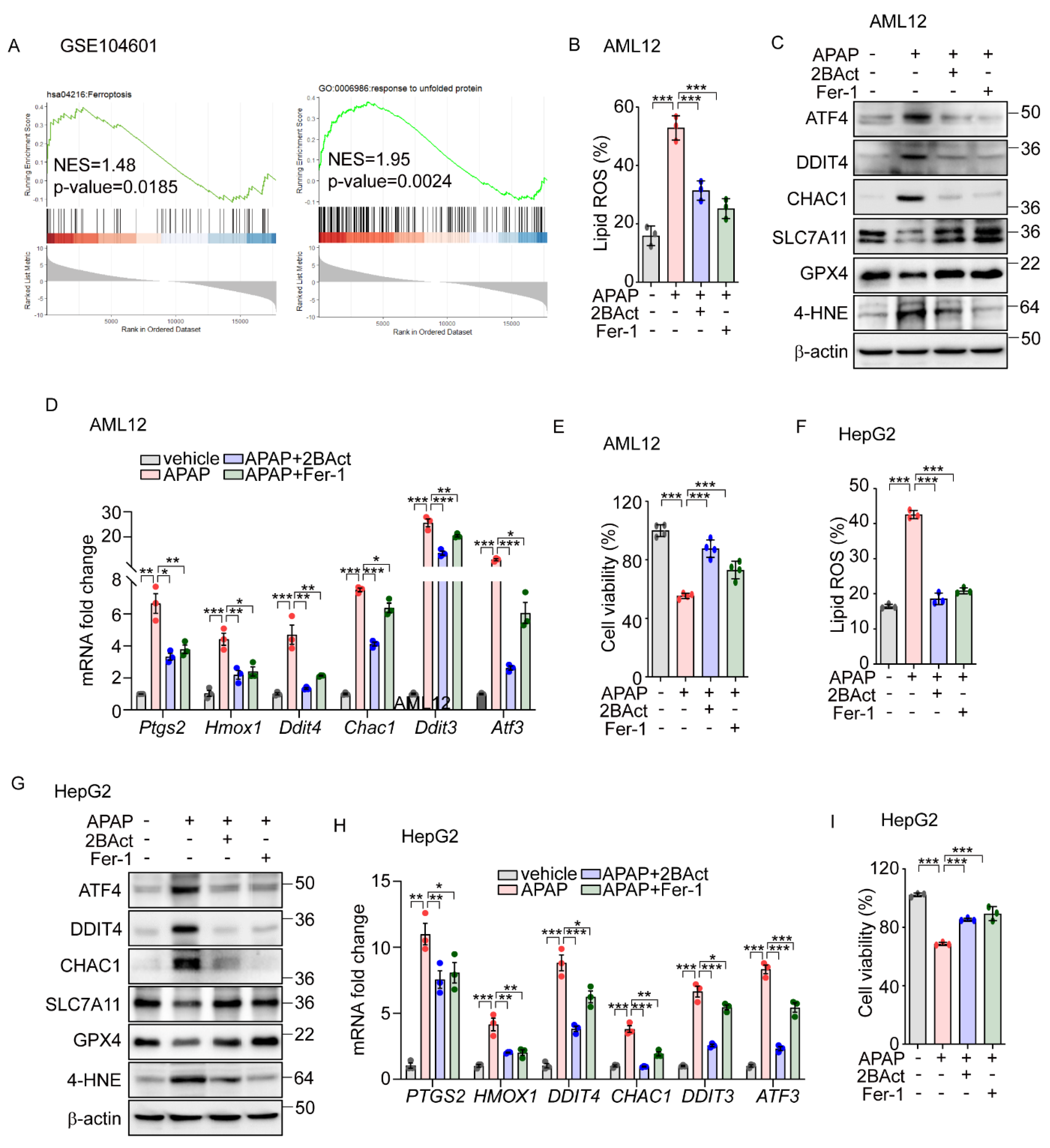 Antioxidants 14 00307 g005