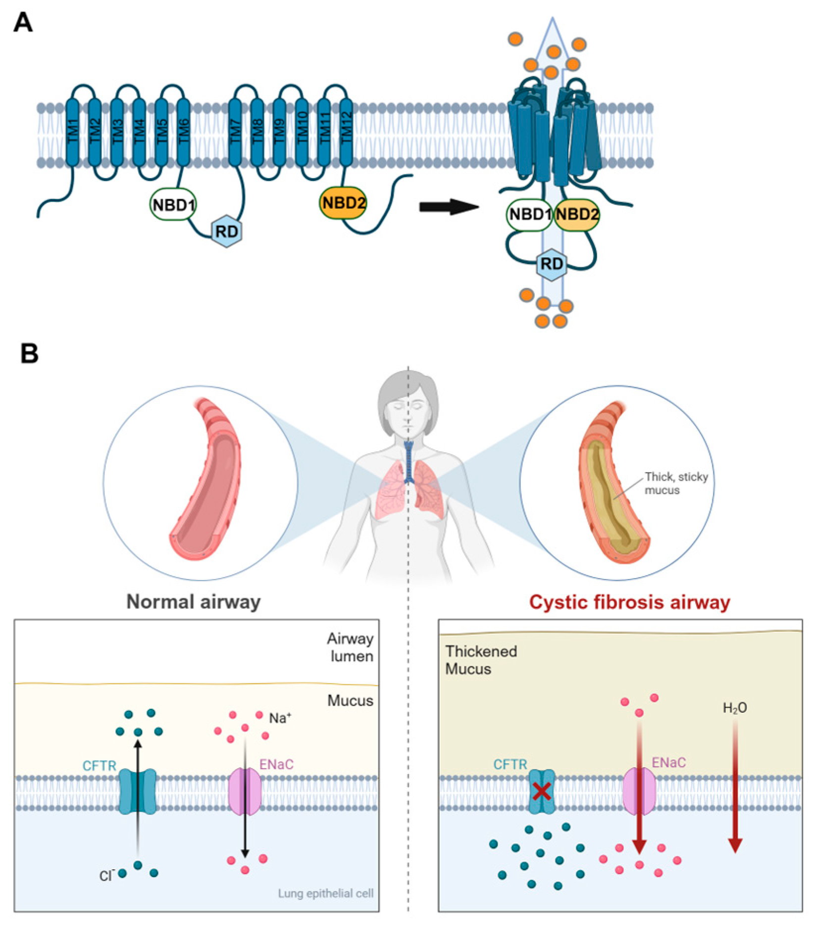 Antioxidants 14 00310 g001