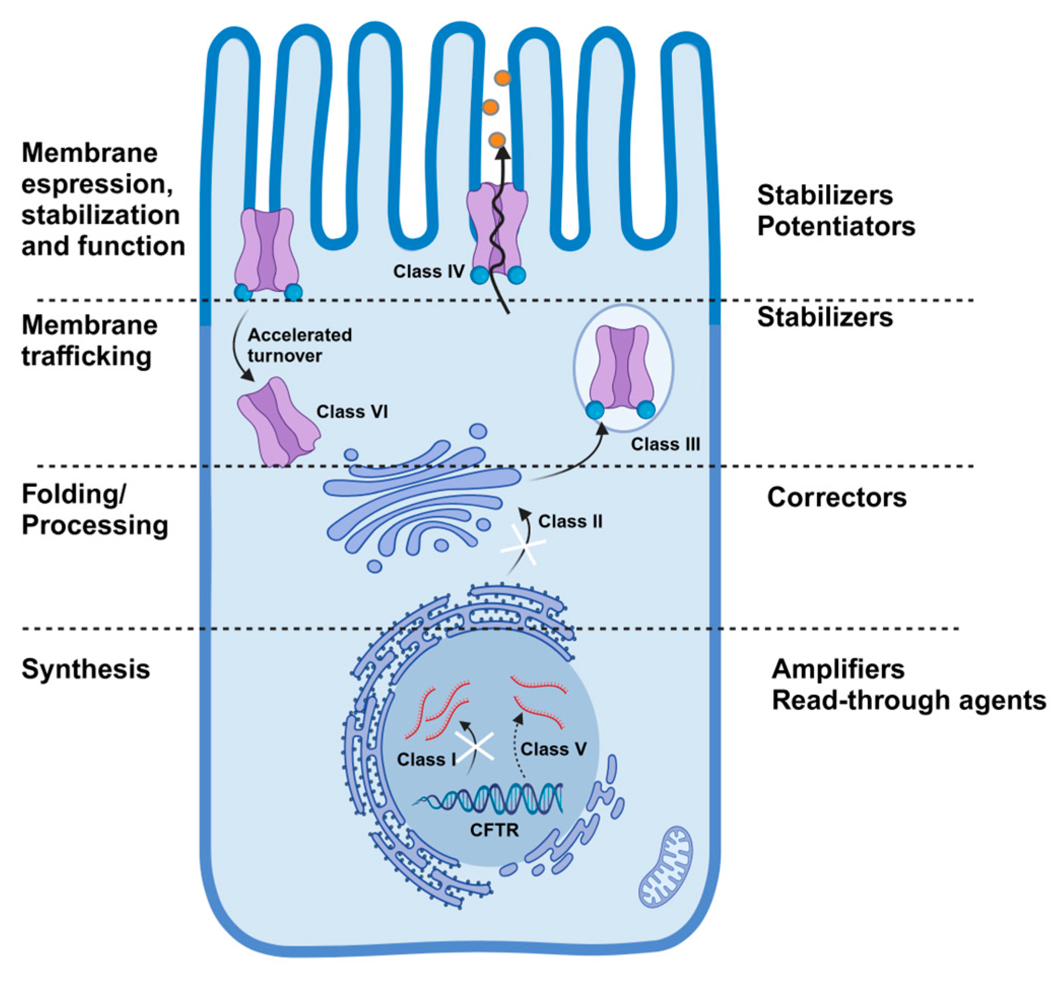 Antioxidants 14 00310 g002