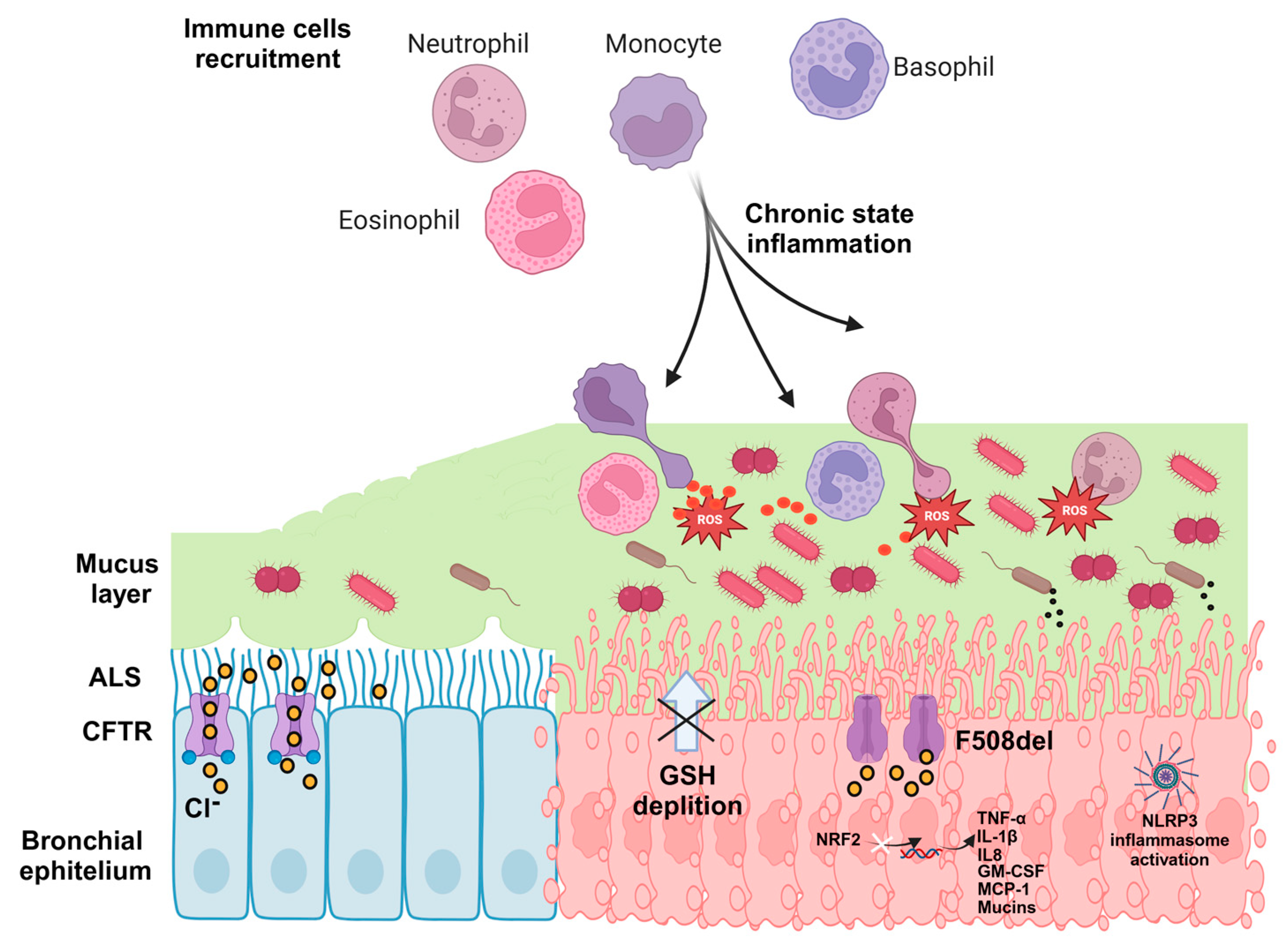 Antioxidants 14 00310 g003