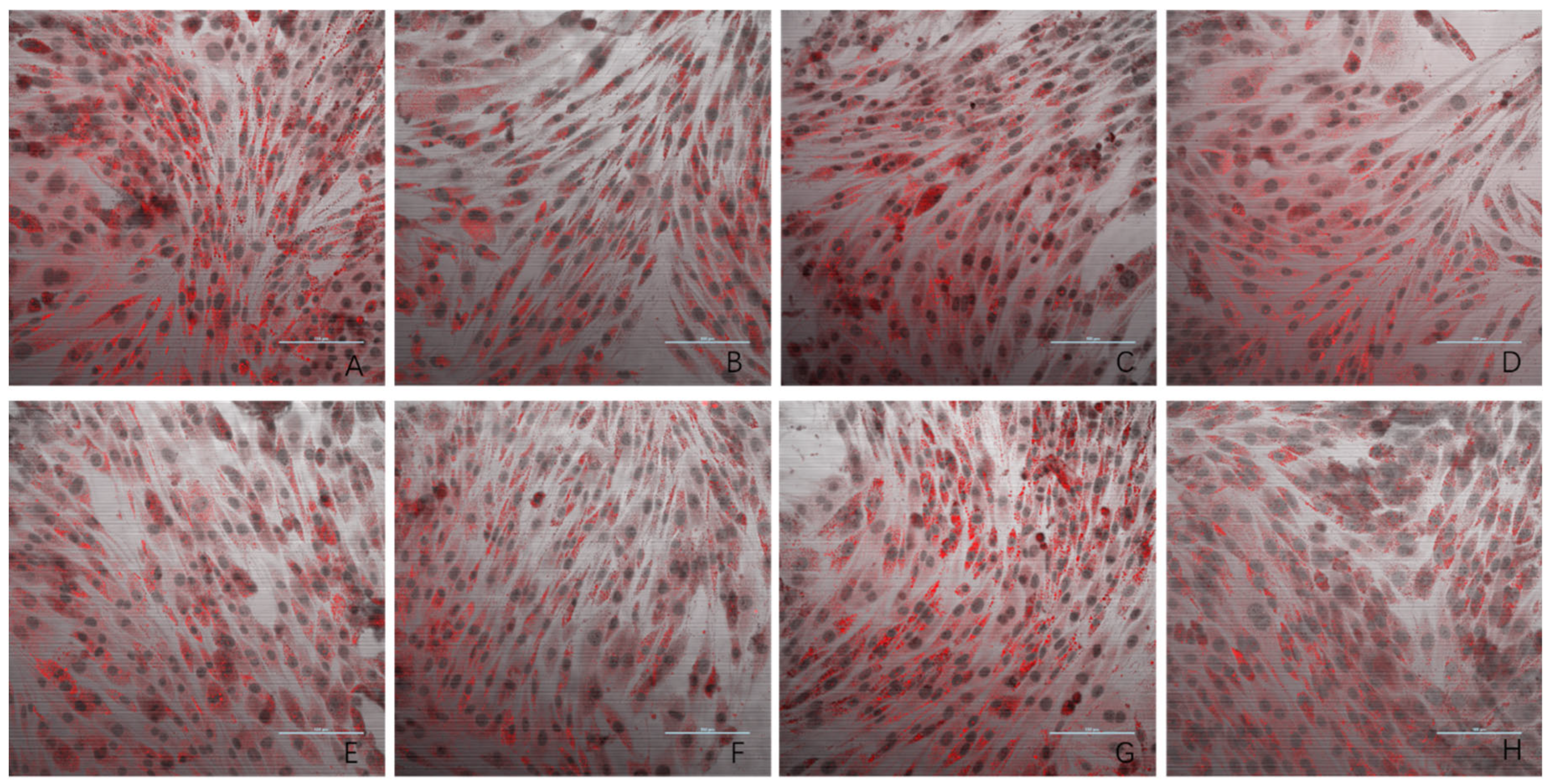 Antioxidants 14 00315 g003