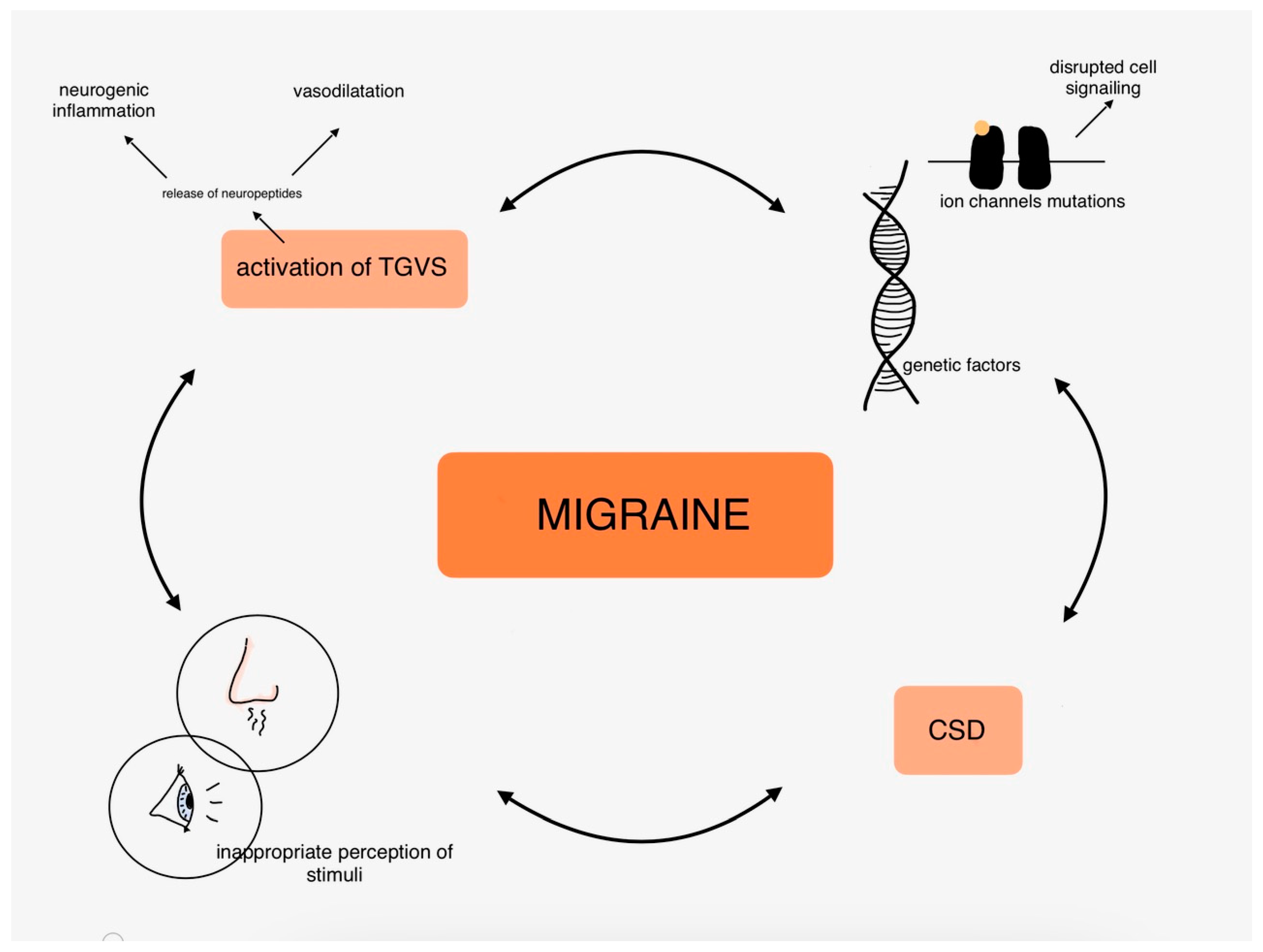 Antioxidants 14 00318 g002