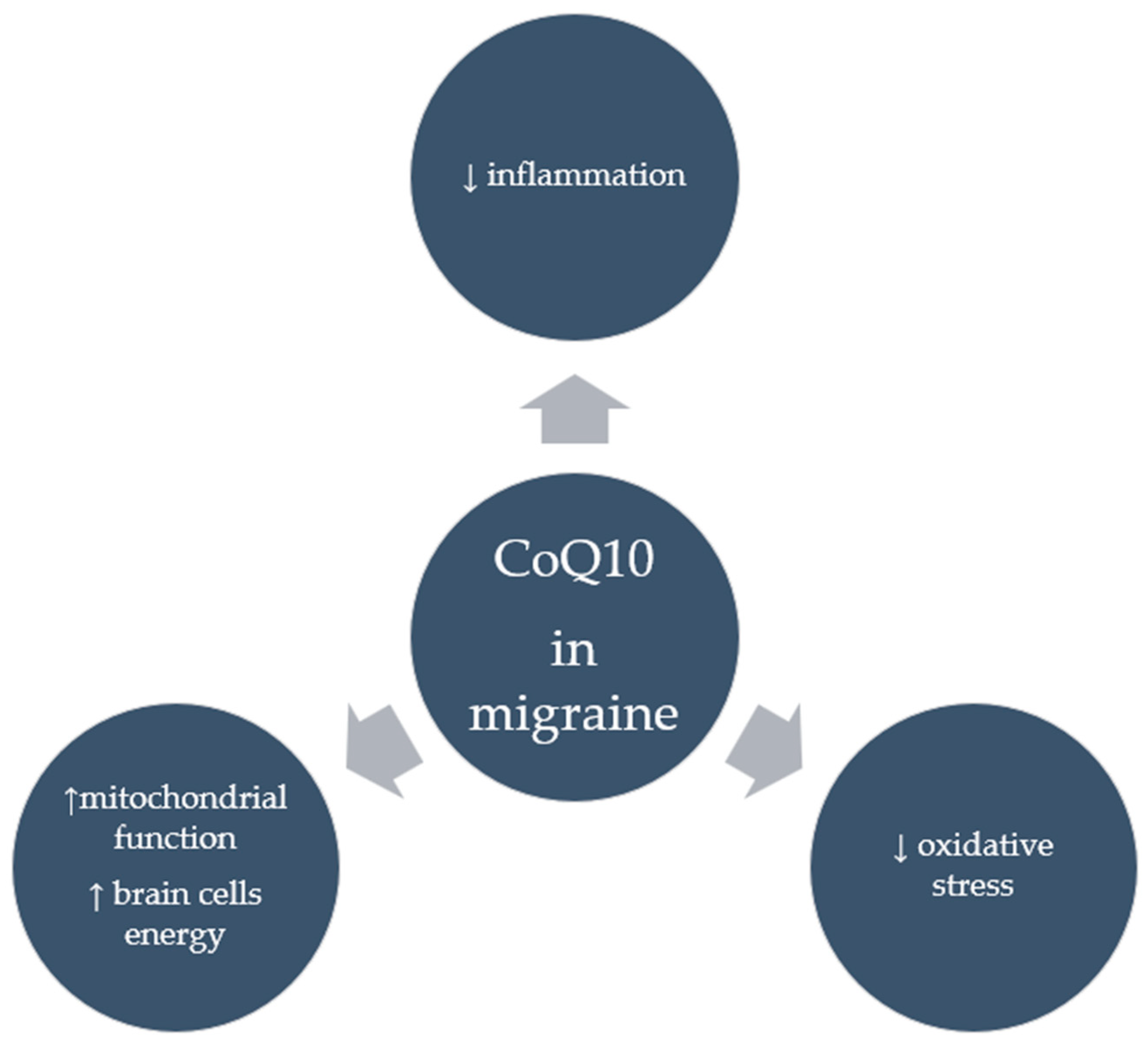 Antioxidants 14 00318 g003