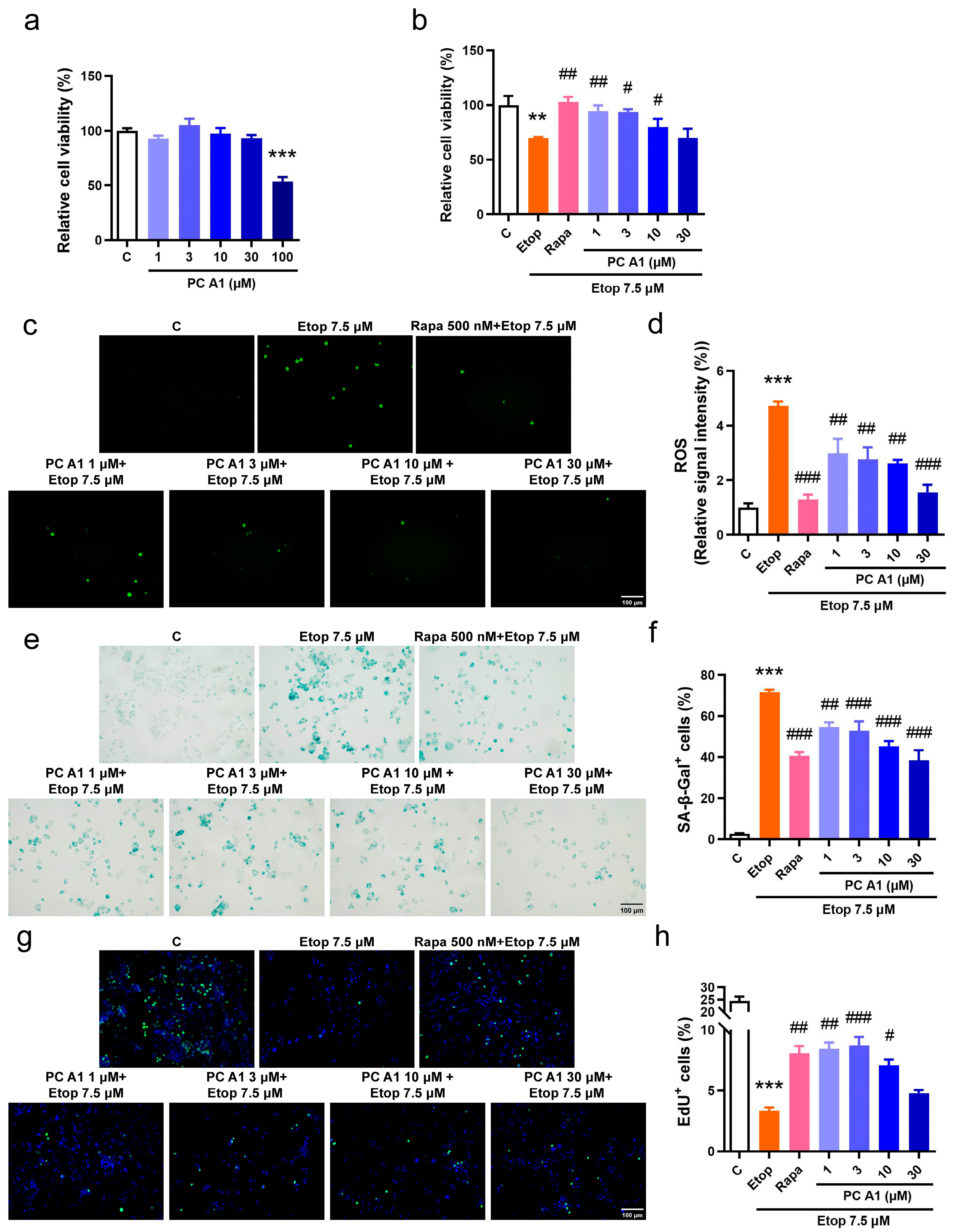Antioxidants 14 00322 g002