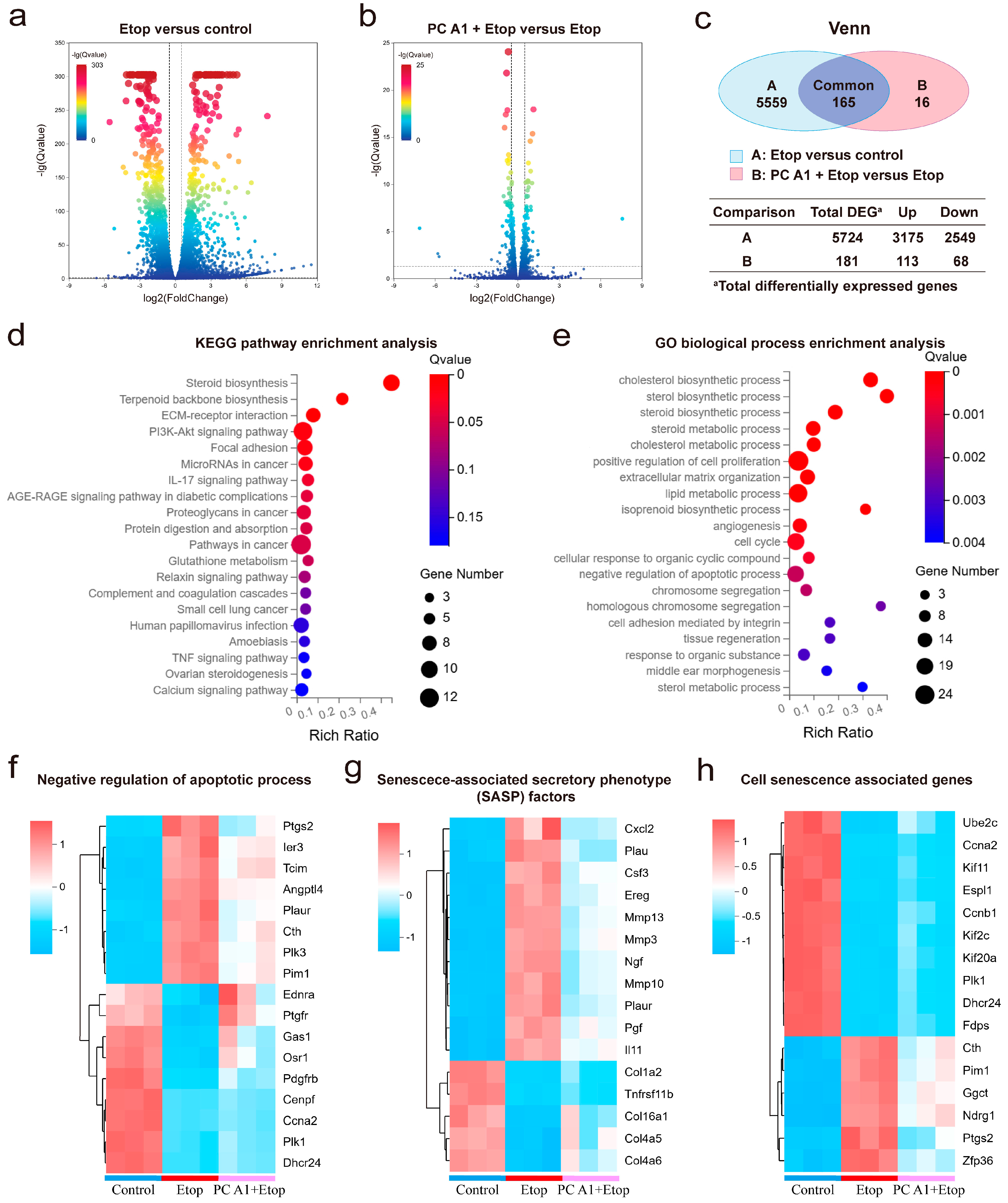Antioxidants 14 00322 g004