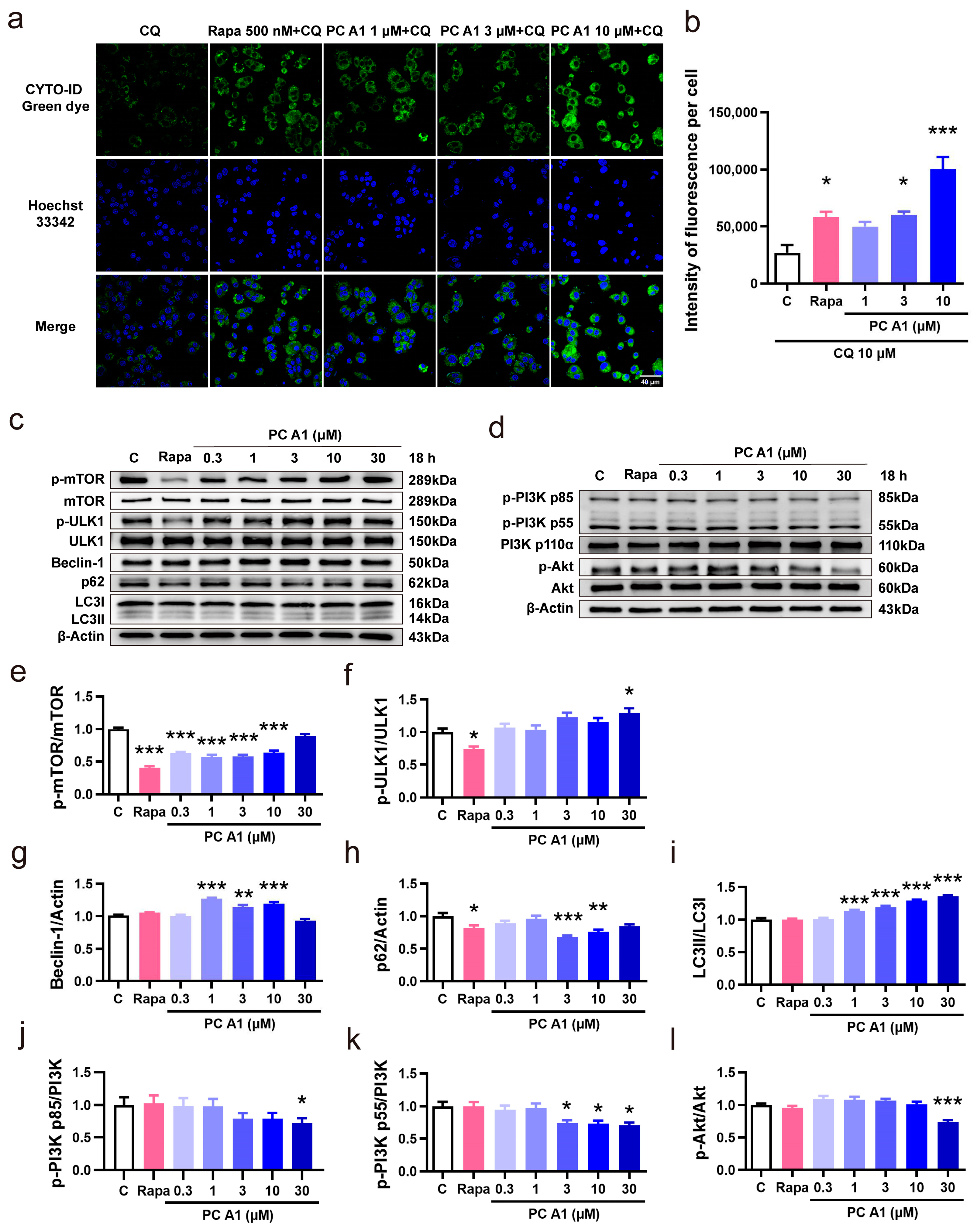 Antioxidants 14 00322 g006